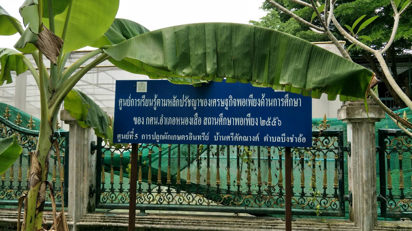 @ปทุมธานี “สำนักงานพัฒนาชุมชนจังหวัดปทุมธานี ติดตามกลุ่มเป้าหมายบริษัทประชารัฐฯ ปี 2561 กลุ่มไม้กวาดทางมะพร้าว ทางปาล์ม น้ำว่านหางจระเข้ พืชผักปลอดภัย ตามโครงการสนับสนุนการขับเคลื่อนการพัฒนาเศรษฐกิจฐานรากและประชารัฐ”