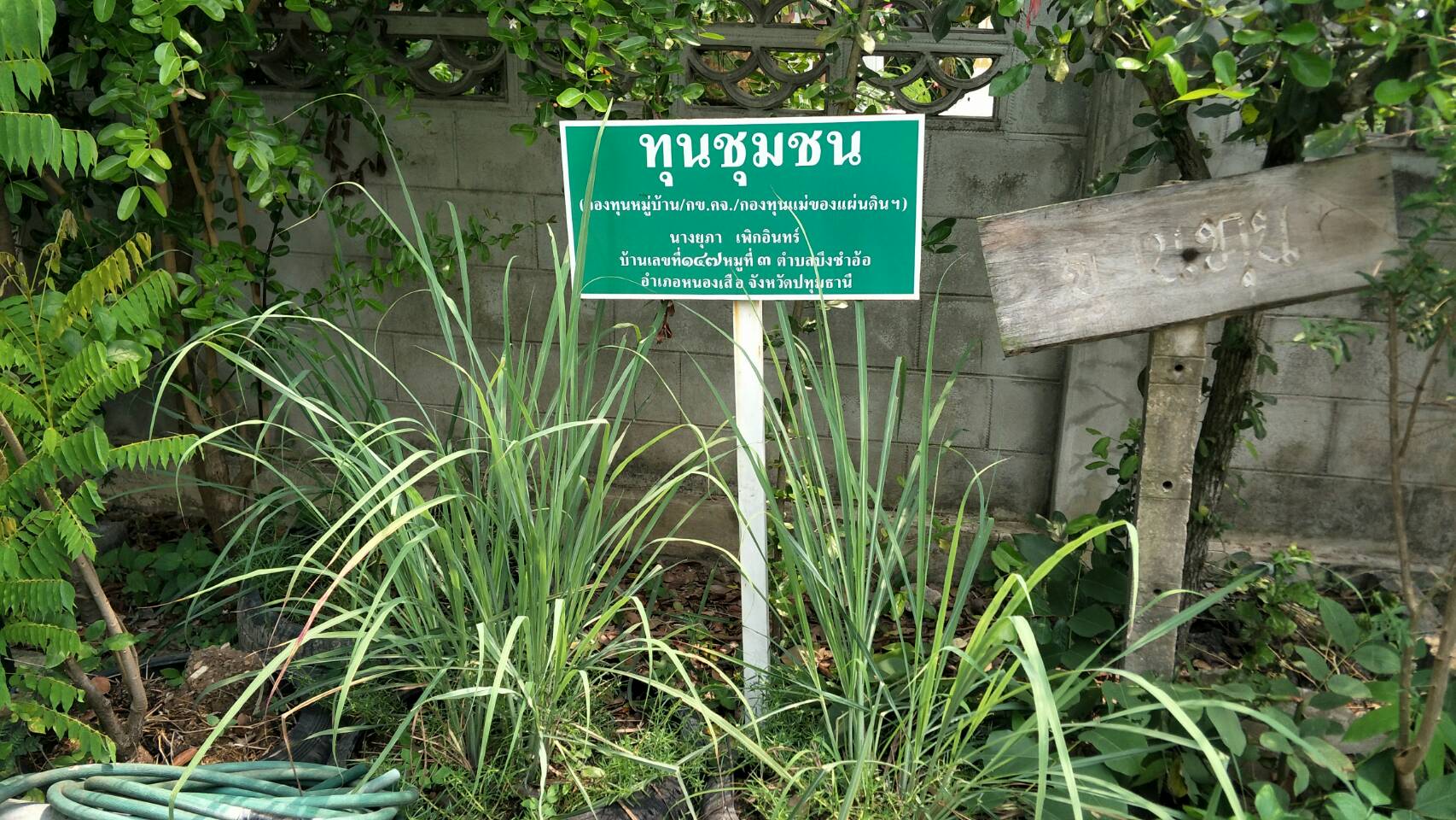 @ปทุมธานี “สำนักงานพัฒนาชุมชนจังหวัดปทุมธานี ติดตามกลุ่มเป้าหมายบริษัทประชารัฐฯ ปี 2561 กลุ่มไม้กวาดทางมะพร้าว ทางปาล์ม น้ำว่านหางจระเข้ พืชผักปลอดภัย ตามโครงการสนับสนุนการขับเคลื่อนการพัฒนาเศรษฐกิจฐานรากและประชารัฐ”
