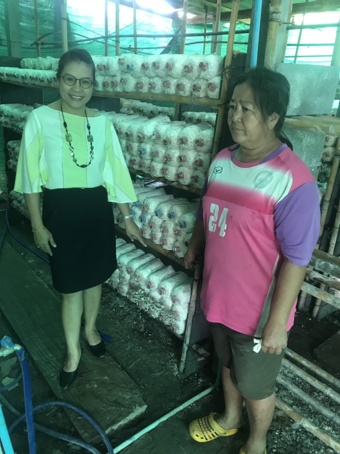 @ปทุมธานี ถิ่นบัวหลวง”ติดตามกลุ่มอาชีพเพาะเห็ด ม.๒ อ.หนองเสือ”