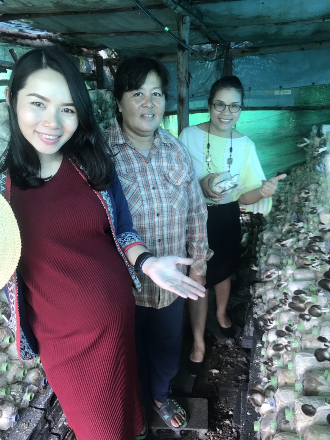 @ปทุมธานี ถิ่นบัวหลวง”ติดตามกลุ่มอาชีพเพาะเห็ด ม.๒ อ.หนองเสือ”