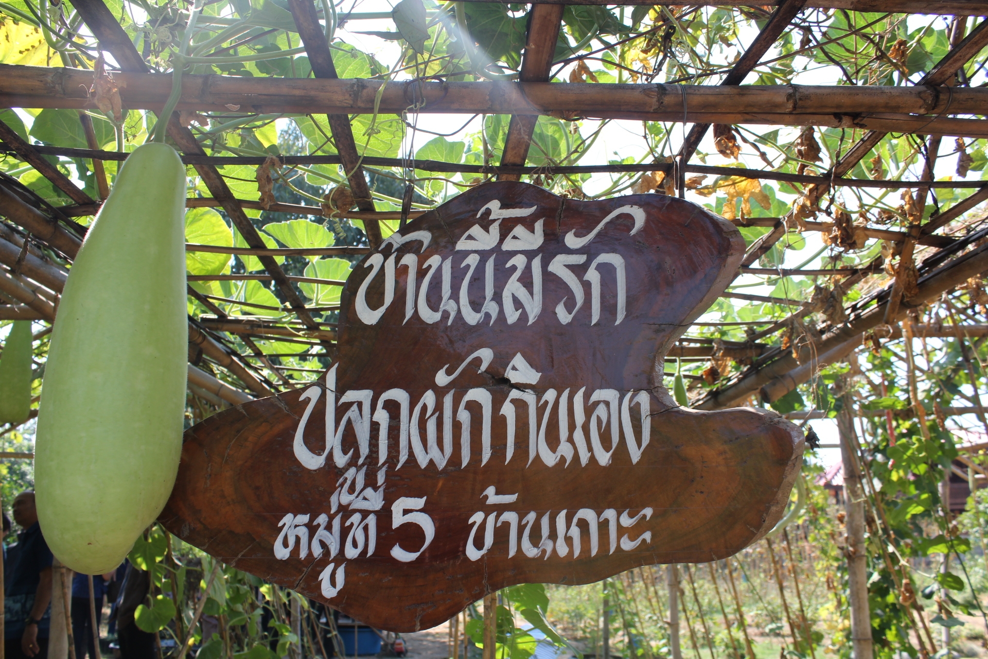 “@ปทุมธานี ถิ่นบัวหลวง”ศึกษาดูงานความสำเร็จการพัฒนาหมู่บ้าน/ตำบล ด้วยการน้อมนำศาสตร์พระราชา และหลักปรัชญาของเศรษฐกิจพอเพียงตามแนวทาง “โก่งธนูโมเดล” จ.ลพบุรี”