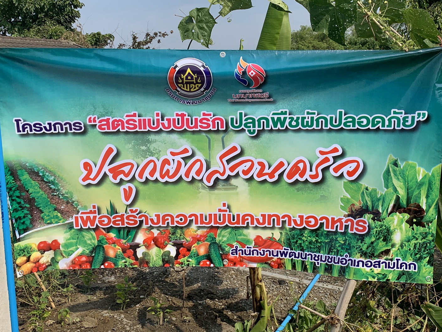 “@ปทุมธานี ถิ่นบัวหลวง”Kick Off โครงการสตรีแบ่งปันรัก ปลูกพืชผักปลอดภัย