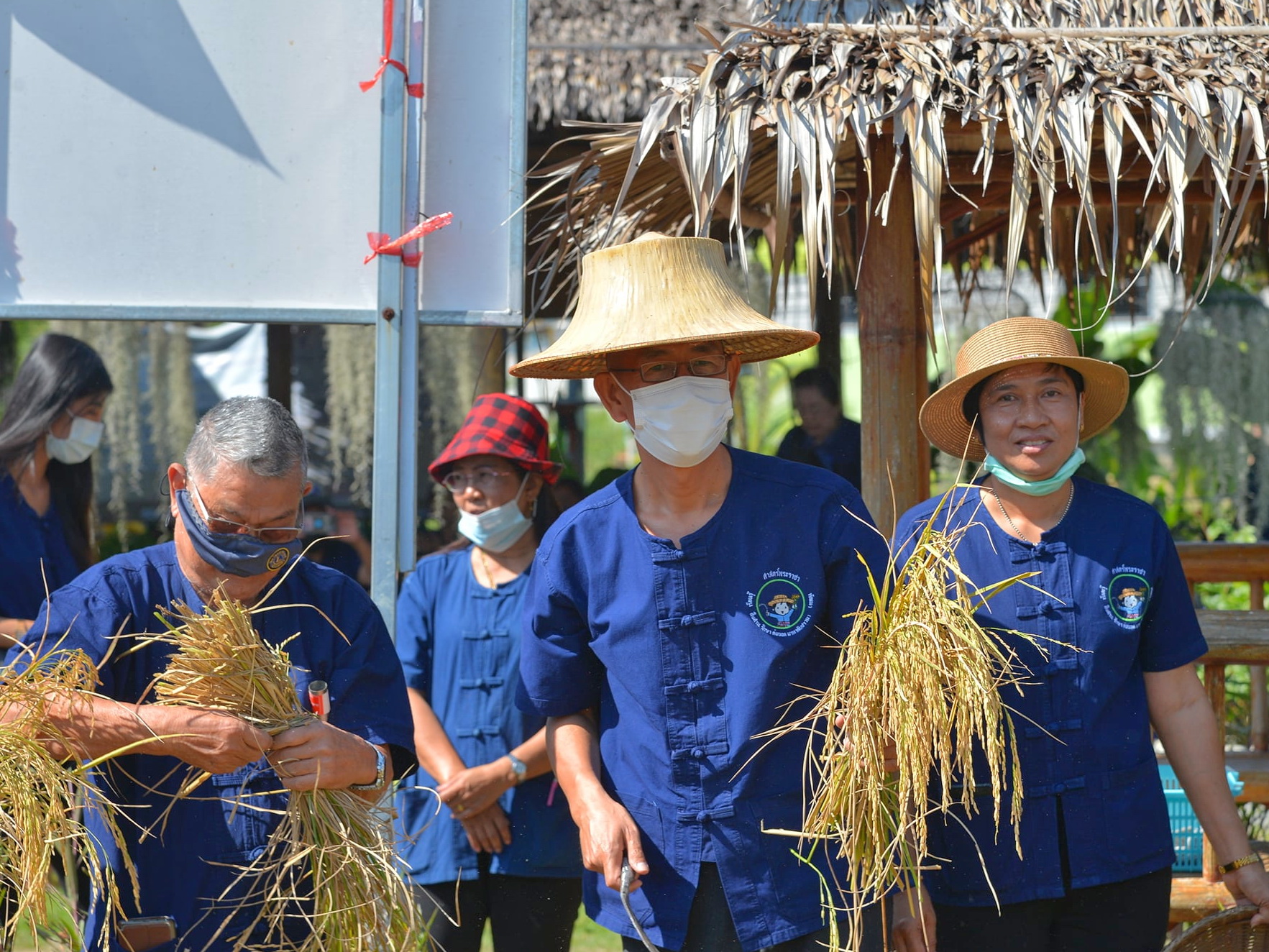 @ปทุมธานี ถิ่นบัวหลวง “พช.ปทุมธานี ร่วมกิจกรรม หว่านวันแม่ เกี่ยววันพ่อ “โครงการเรียนรู้วิถีชาวนา พบความสุข ตามแนวทางศาสตร์พระราชา” ปีที่ ๔/๒๕๖๓”