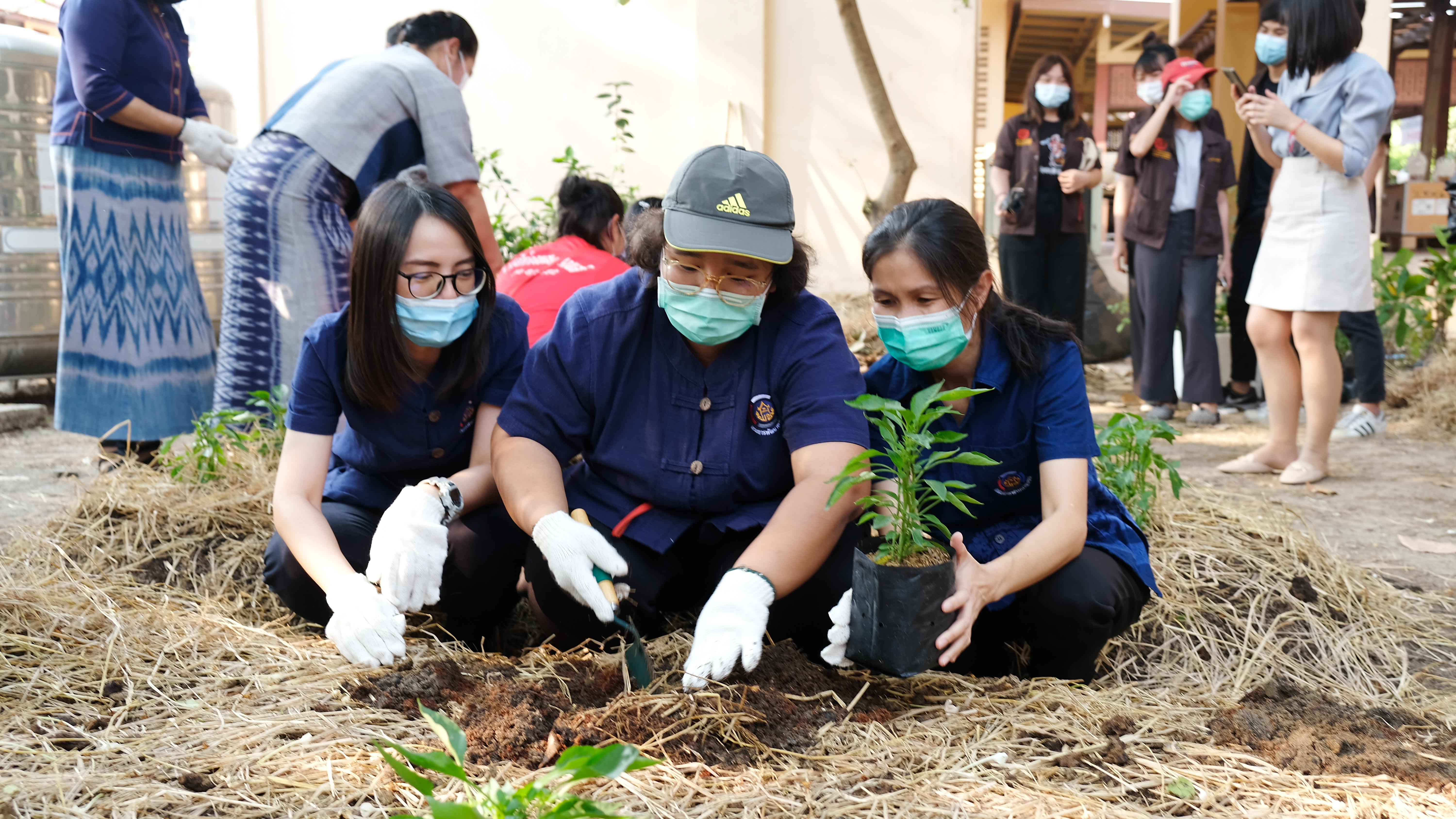 พช.ปทุมธานี “ผู้ว่าราชการจังหวัดปทุมธานี เปิดจวน Kick Off ปลูกพืชผักสวนครัว สร้างความมั่นคงทางอาหาร รอบ ๒”