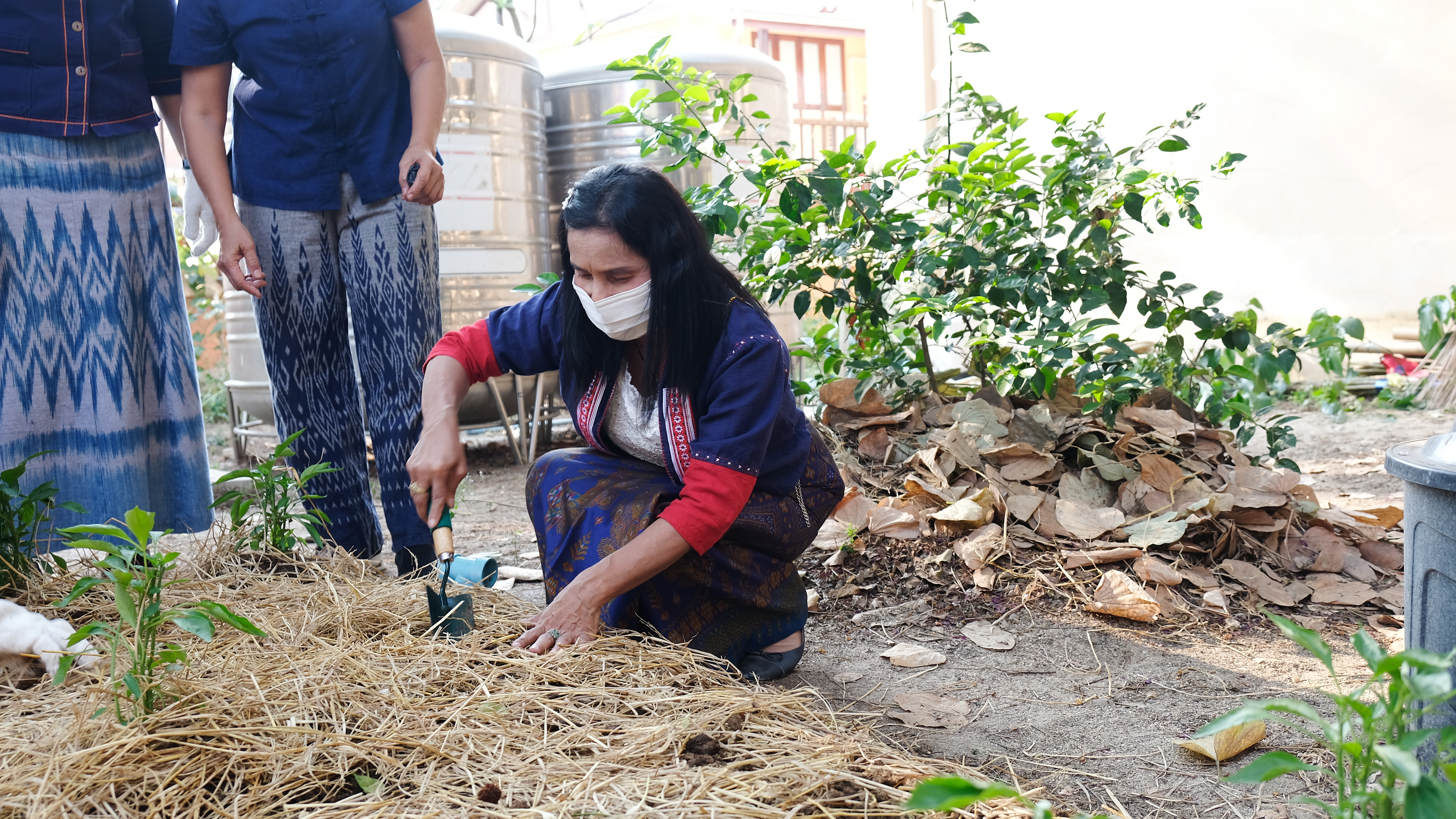พช.ปทุมธานี “ผู้ว่าราชการจังหวัดปทุมธานี เปิดจวน Kick Off ปลูกพืชผักสวนครัว สร้างความมั่นคงทางอาหาร รอบ ๒”