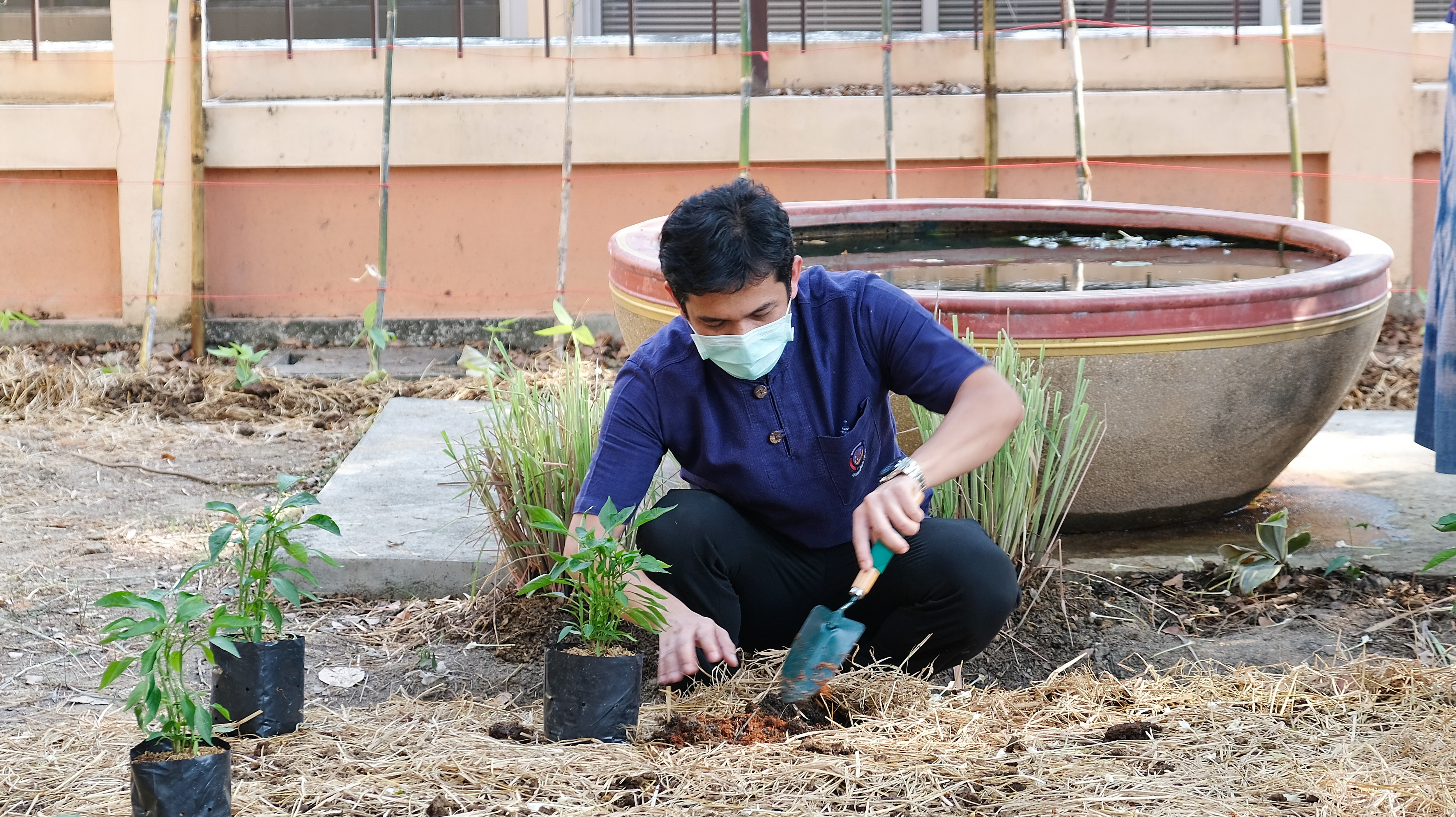 พช.ปทุมธานี “ผู้ว่าราชการจังหวัดปทุมธานี เปิดจวน Kick Off ปลูกพืชผักสวนครัว สร้างความมั่นคงทางอาหาร รอบ ๒”