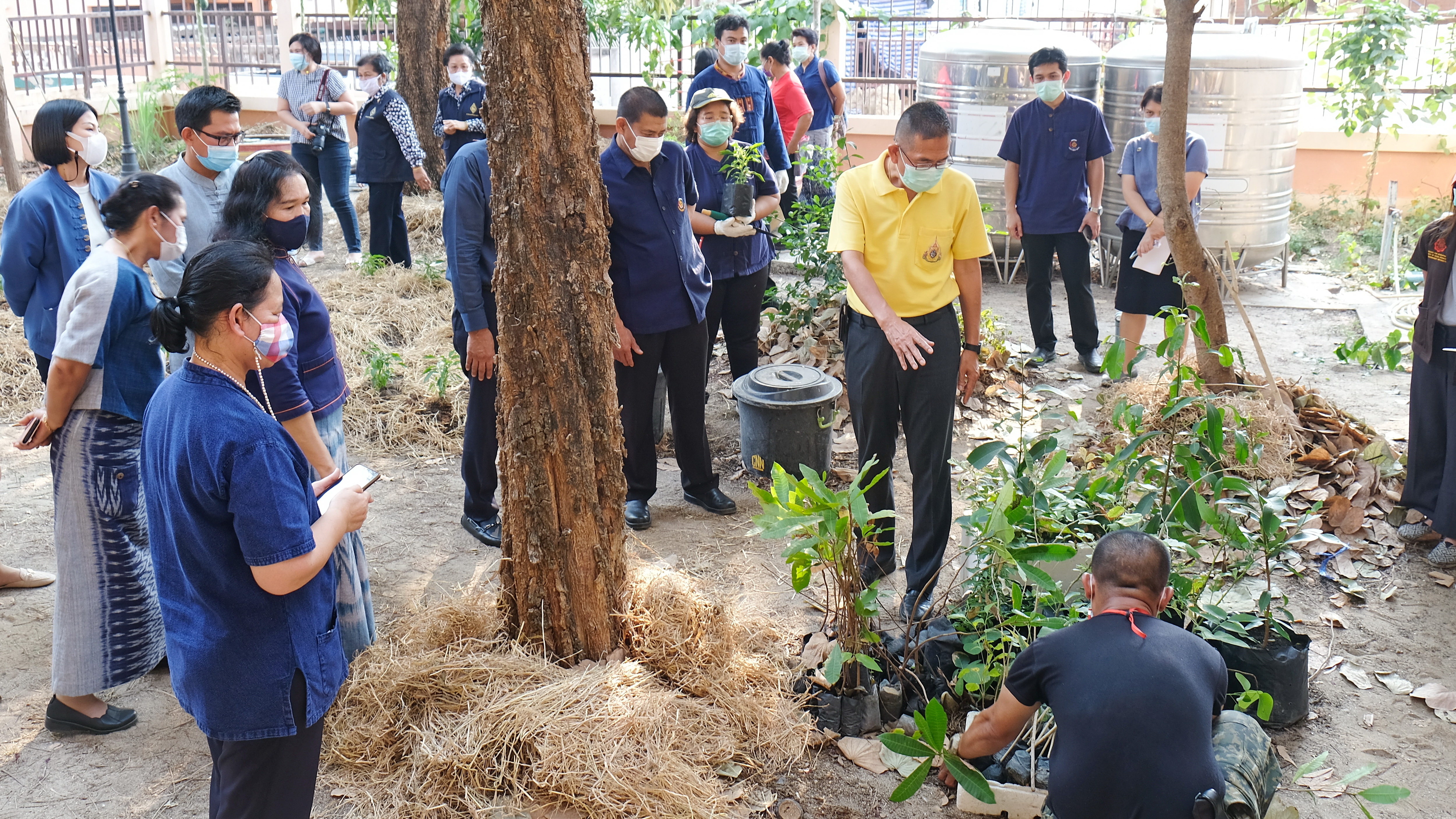 พช.ปทุมธานี “ผู้ว่าราชการจังหวัดปทุมธานี เปิดจวน Kick Off ปลูกพืชผักสวนครัว สร้างความมั่นคงทางอาหาร รอบ ๒”