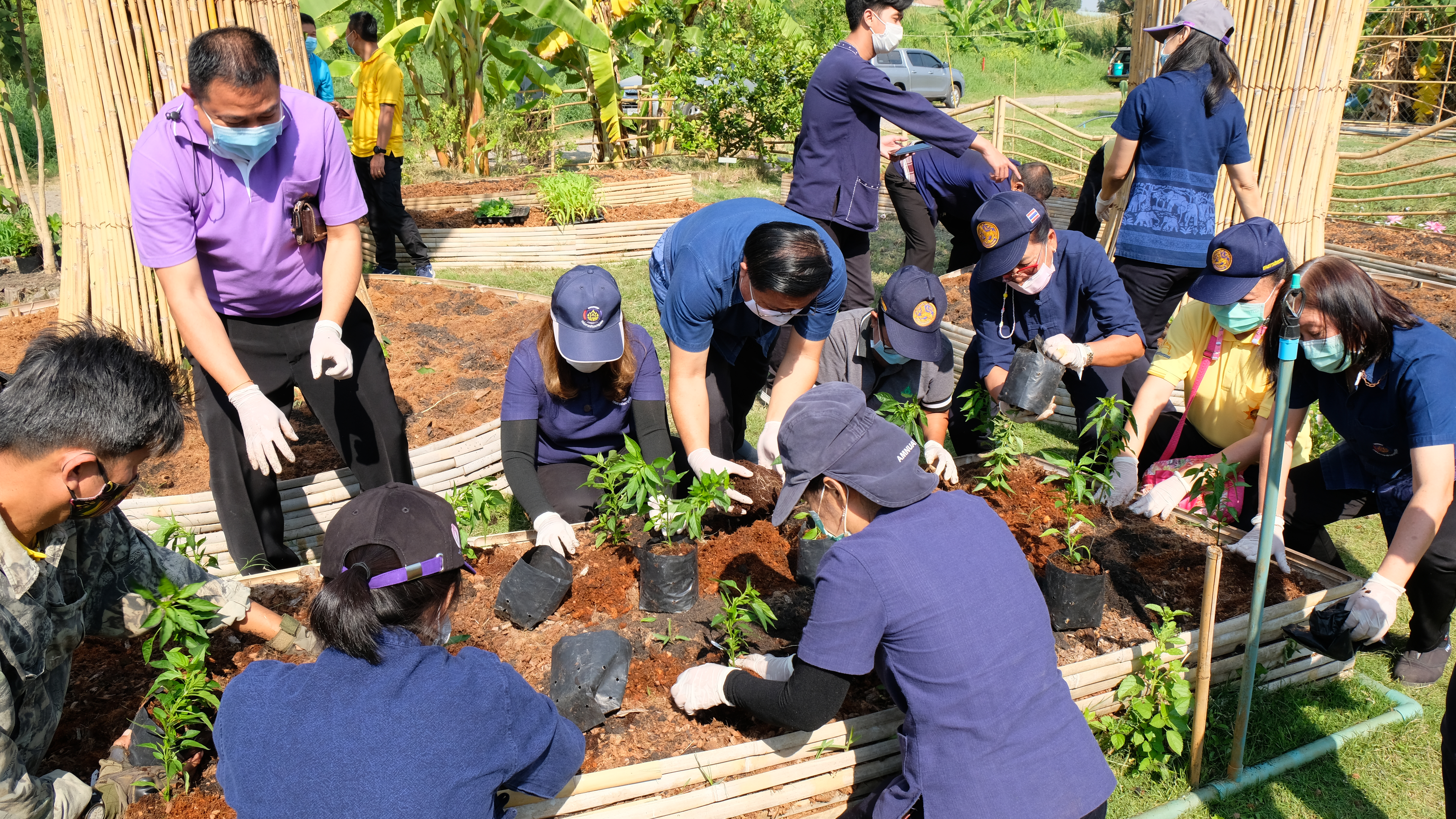 พช.ปทุมธานี “จัดกิจกรรม Kick off ปฏิบัติการ ๙๐ วัน ปลูกผักเพื่อสร้างความมั่นคงทางอาหาร รอบ ๒”