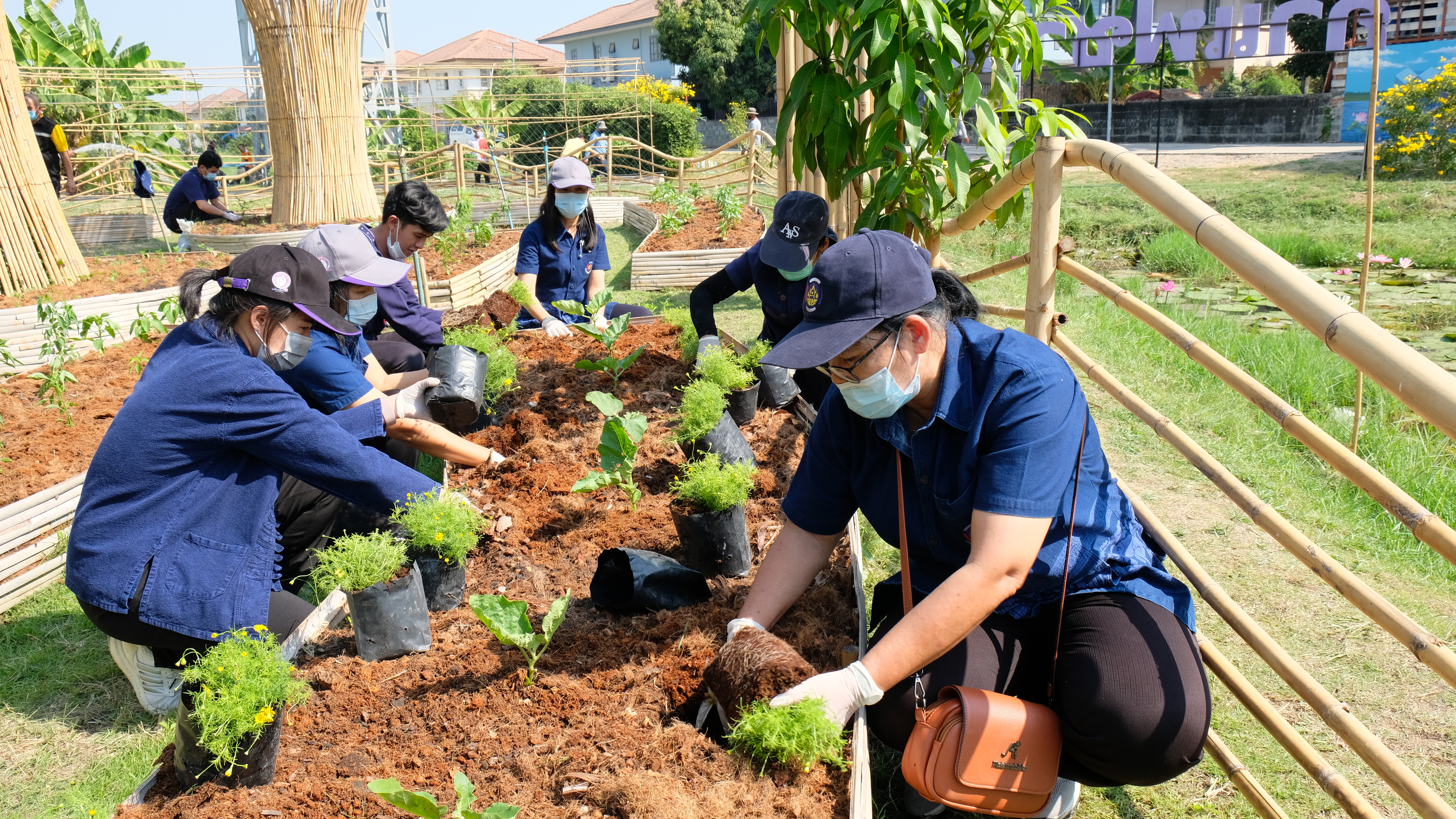 พช.ปทุมธานี “จัดกิจกรรม Kick off ปฏิบัติการ ๙๐ วัน ปลูกผักเพื่อสร้างความมั่นคงทางอาหาร รอบ ๒”