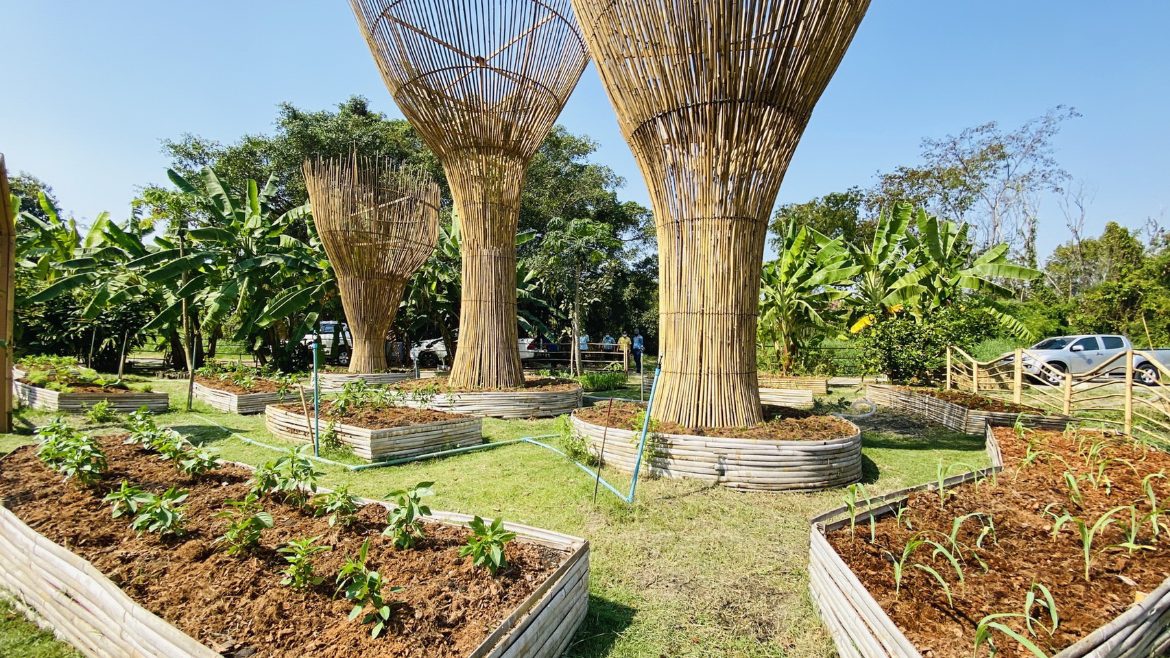 พช.ปทุมธานี “จัดกิจกรรม Kick off ปฏิบัติการ ๙๐ วัน ปลูกผักเพื่อสร้างความมั่นคงทางอาหาร รอบ ๒”