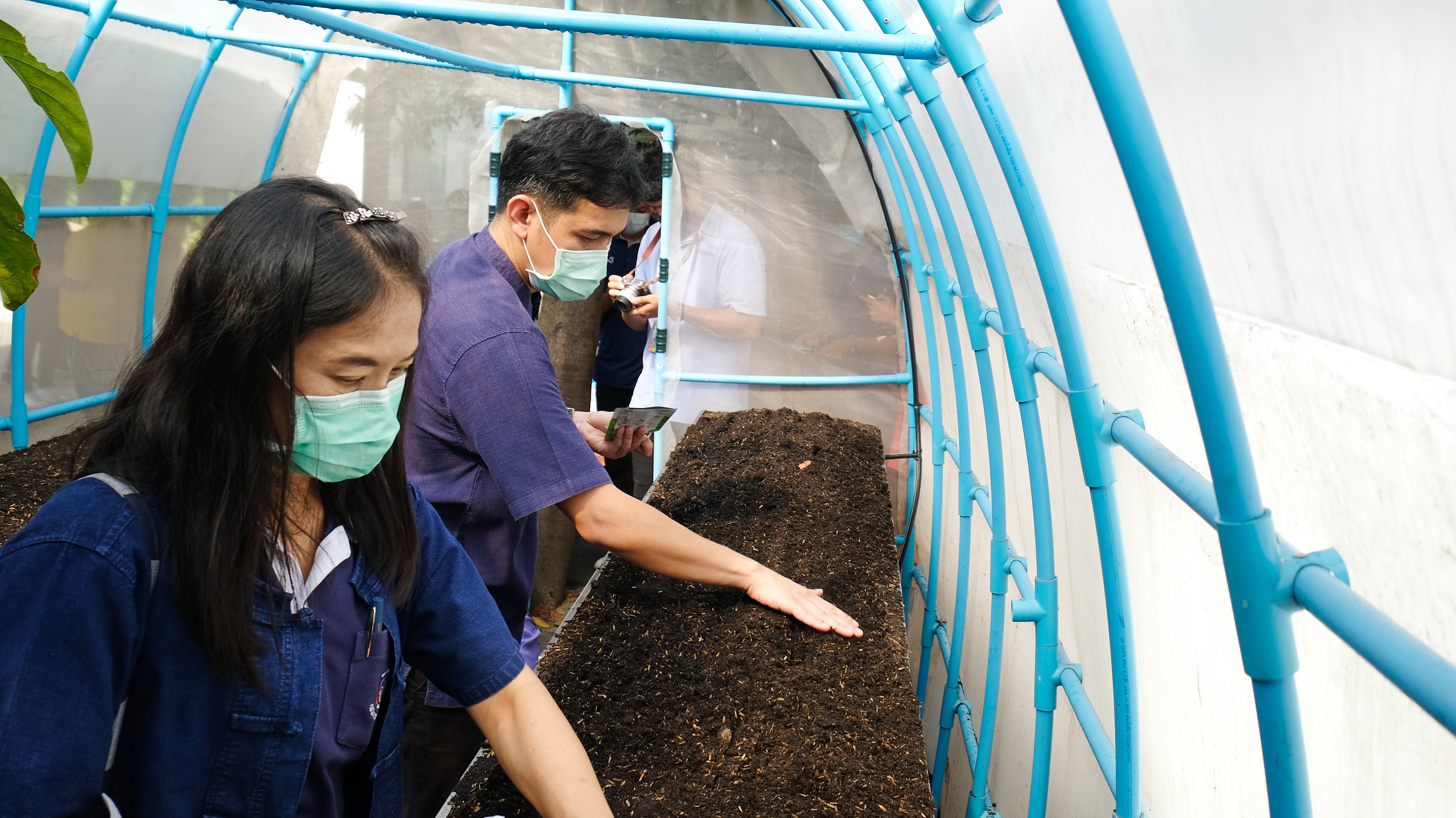พช.ปทุมธานี “ร่วมกับบริษัทประชารัฐรักสามัคคีปทุมธานี จัดกิจกรรมประชารัฐชวนปลูกผักสวนครัว เพื่อสร้างความมั่นคงทางอาหาร”