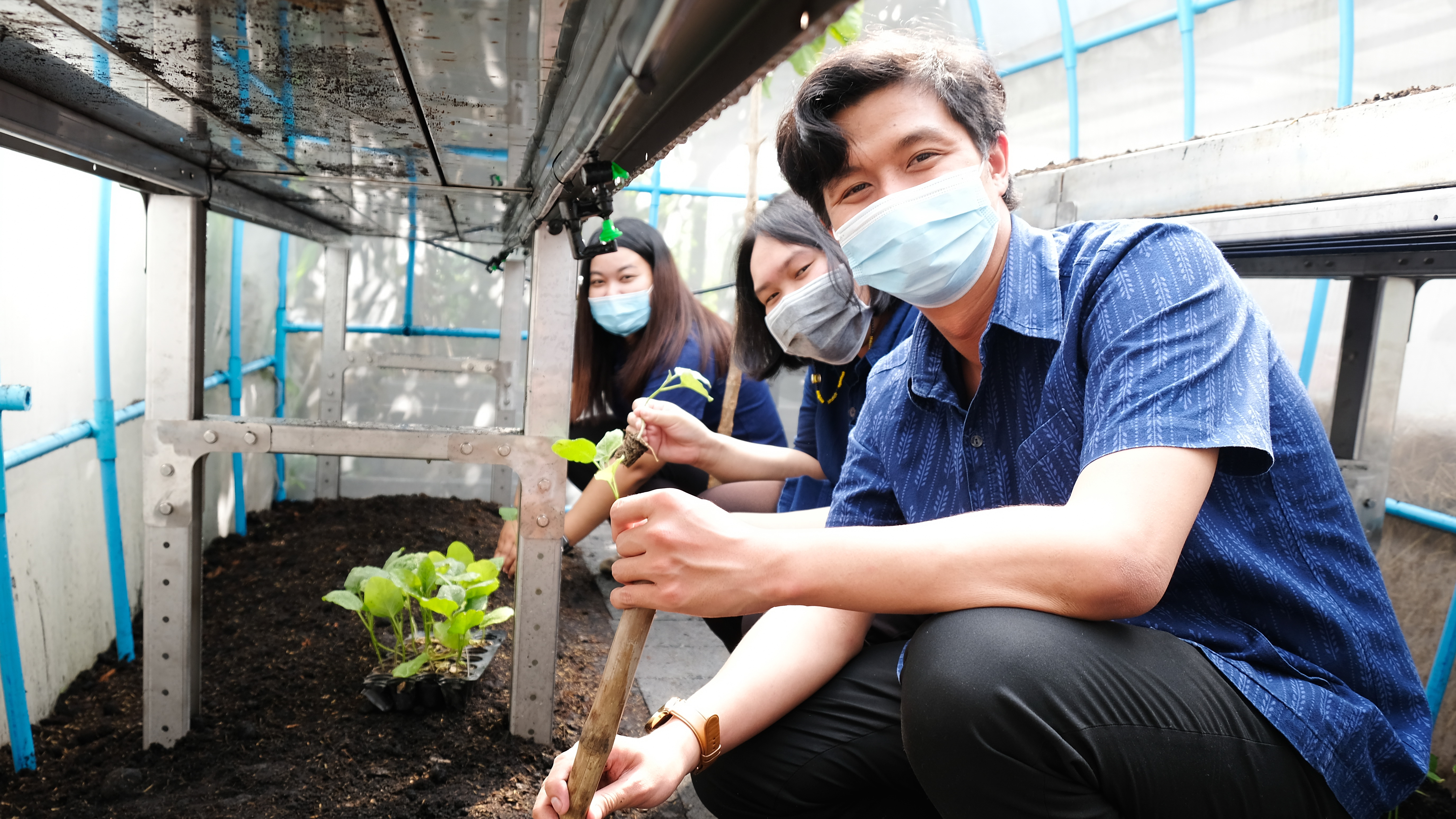 พช.ปทุมธานี “ร่วมกับบริษัทประชารัฐรักสามัคคีปทุมธานี จัดกิจกรรมประชารัฐชวนปลูกผักสวนครัว เพื่อสร้างความมั่นคงทางอาหาร”