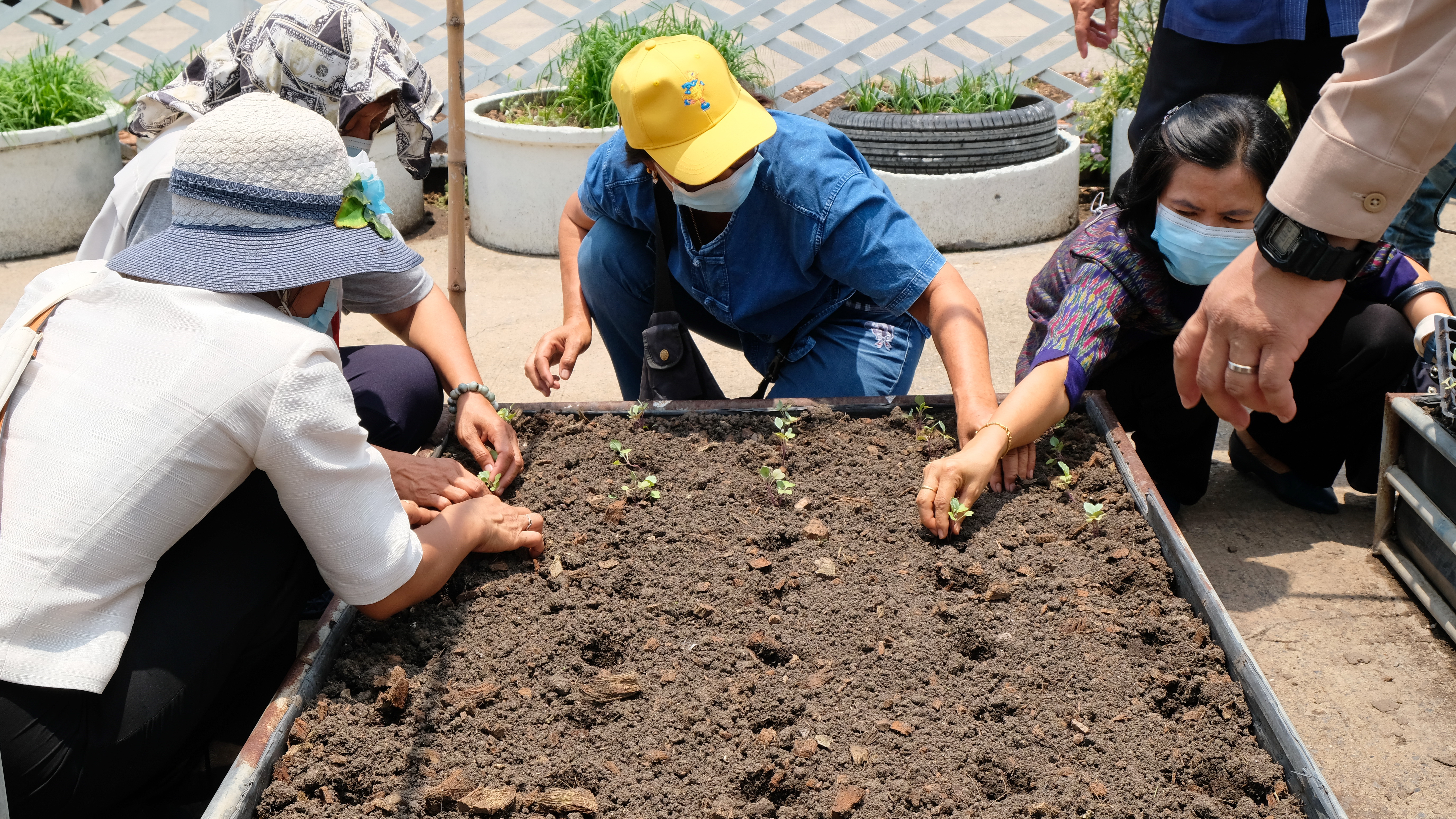 พช.ปทุมธานี จัดโครงการ “สืบสาน สร้างสรรค์ สู่สังคมการเรียนรู้เกษตรเศรษฐกิจพอเพียง”
