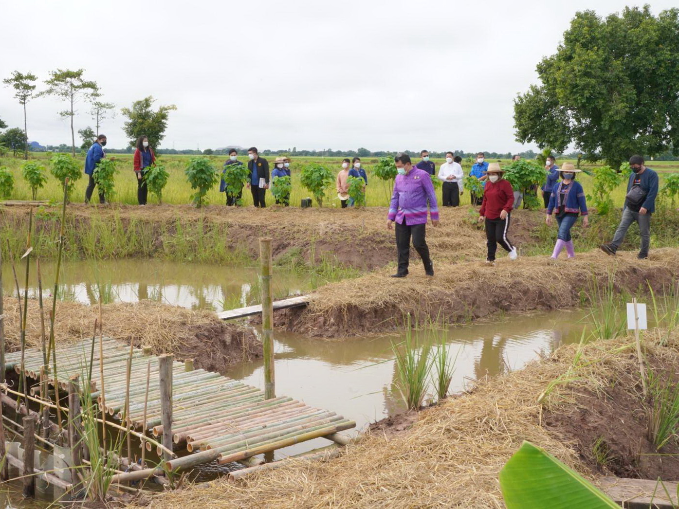 พช.ปทุมธานี “อธิบดีกรมการพัฒนาชุมชน ลงพื้นที่ตรวจเยี่ยม โคก หนอง นา จังหวัดปทุมธานี”