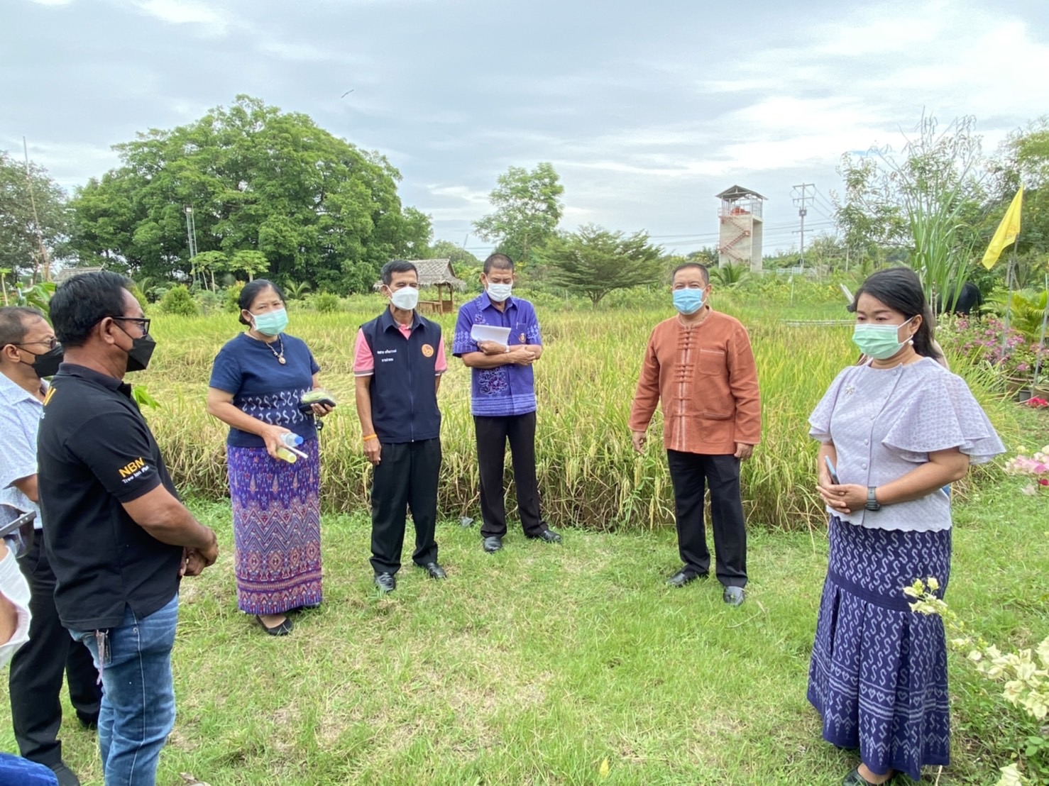 พช.ปทุมธานี “ร่วมลงพื้นติดตามการเตรียมความพร้อมการจัดกิจกรรมพิธีเกี่ยวข้าวพันธุ์ข้าวหอมปทุมธานี ๑ ตามโครงการเรียนรู้วิถีชาวนา พบความสุข ตามแนวทางศาสตร์พระราชา ปีที่ ๕”