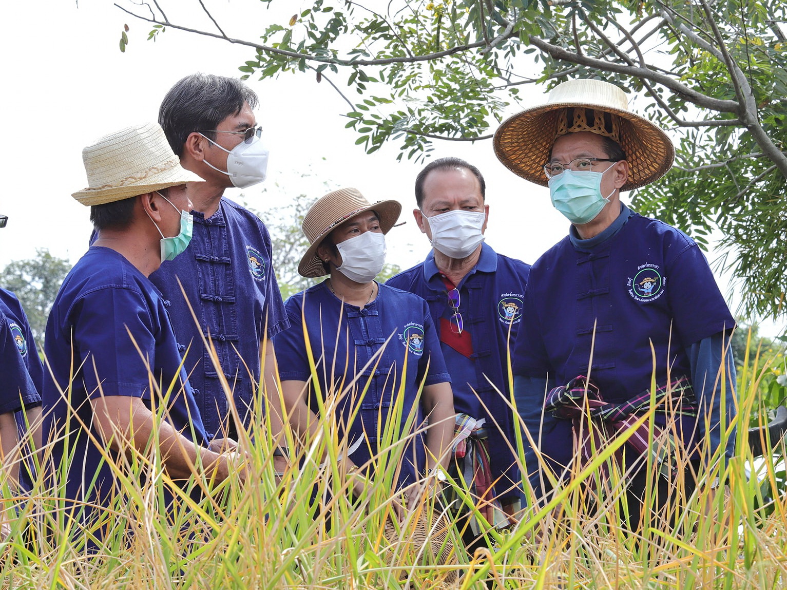 พช.ปทุมธานี “ร่วมพิธีเกี่ยวข้าวพันธุ์ข้าวหอมปทุมธานี ๑ ตามโครงการเรียนรู้วิถีชาวนา พบความสุข ตามแนวทางศาสตร์พระราชา ปีที่ ๕”