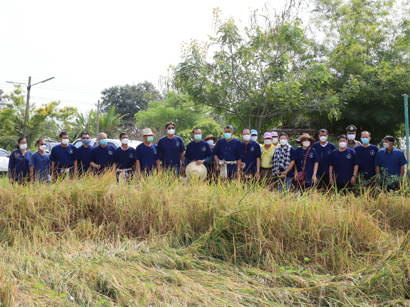พช.ปทุมธานี “ร่วมพิธีเกี่ยวข้าวพันธุ์ข้าวหอมปทุมธานี ๑ ตามโครงการเรียนรู้วิถีชาวนา พบความสุข ตามแนวทางศาสตร์พระราชา ปีที่ ๕”