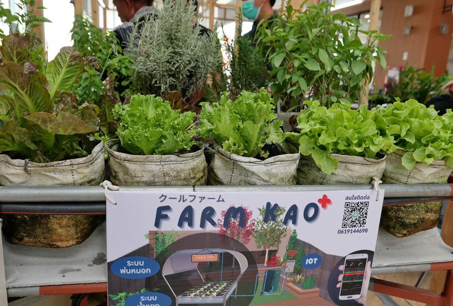 พช.ปทุมธานี “จัดงาน ชิม ช้อป ชุมชน ณ เดอะไนน์เซ็นเตอร์ ติวานนท์”