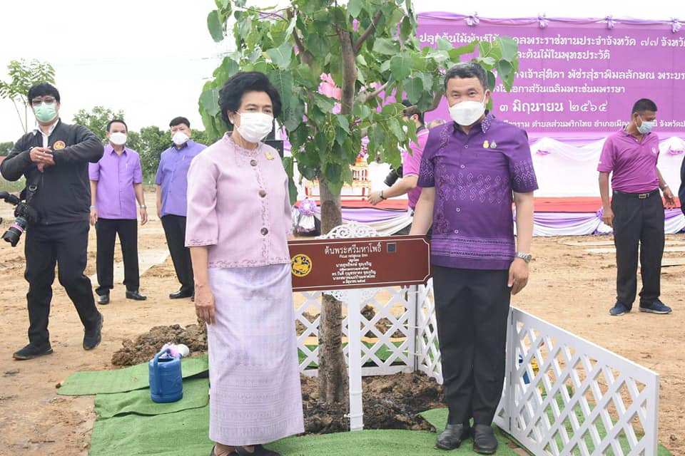 พช.ปทุมธานี “ปลัดกระทรวงมหาดไทย ปลูกต้นไม้ เฉลิมพระเกียรติ สมเด็จพระนางเจ้าฯ พระบรมราชิ”