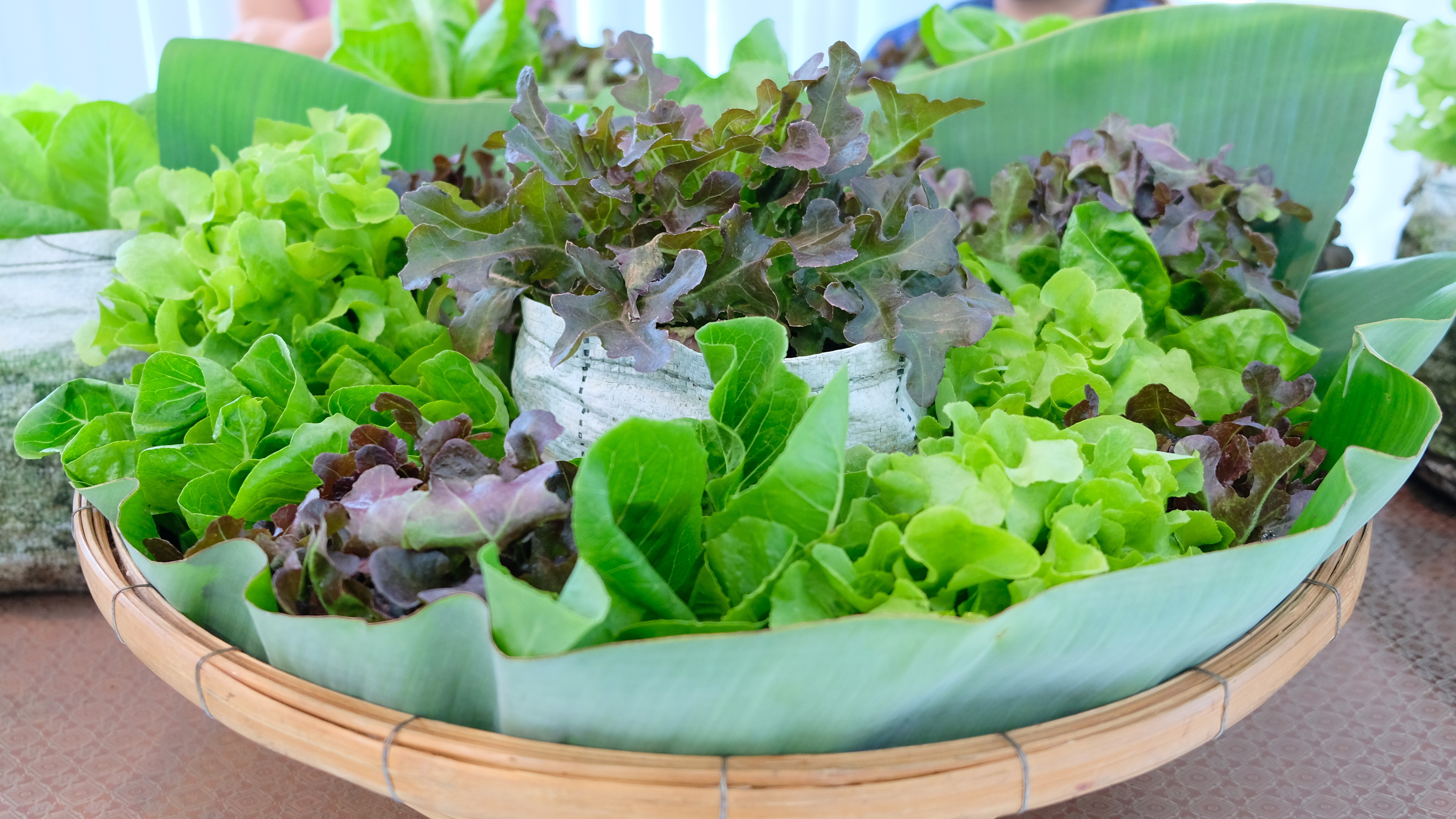 พช.ปทุมธานี “ร่วมประกวดสารสนเทศตำบลต้นแบบฯ ระดับเขตตรวจราชการ กรมการพัฒนาชุมชน”