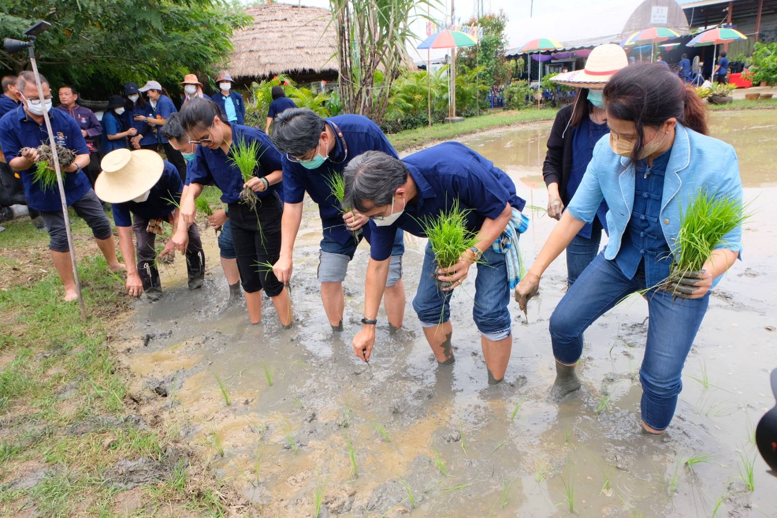 พช.ปทุมธานี “ร่วมโครงการเรียนรู้วิถีชาวนา พบความสุข ตามแนวทางศาสตร์พระราชา”