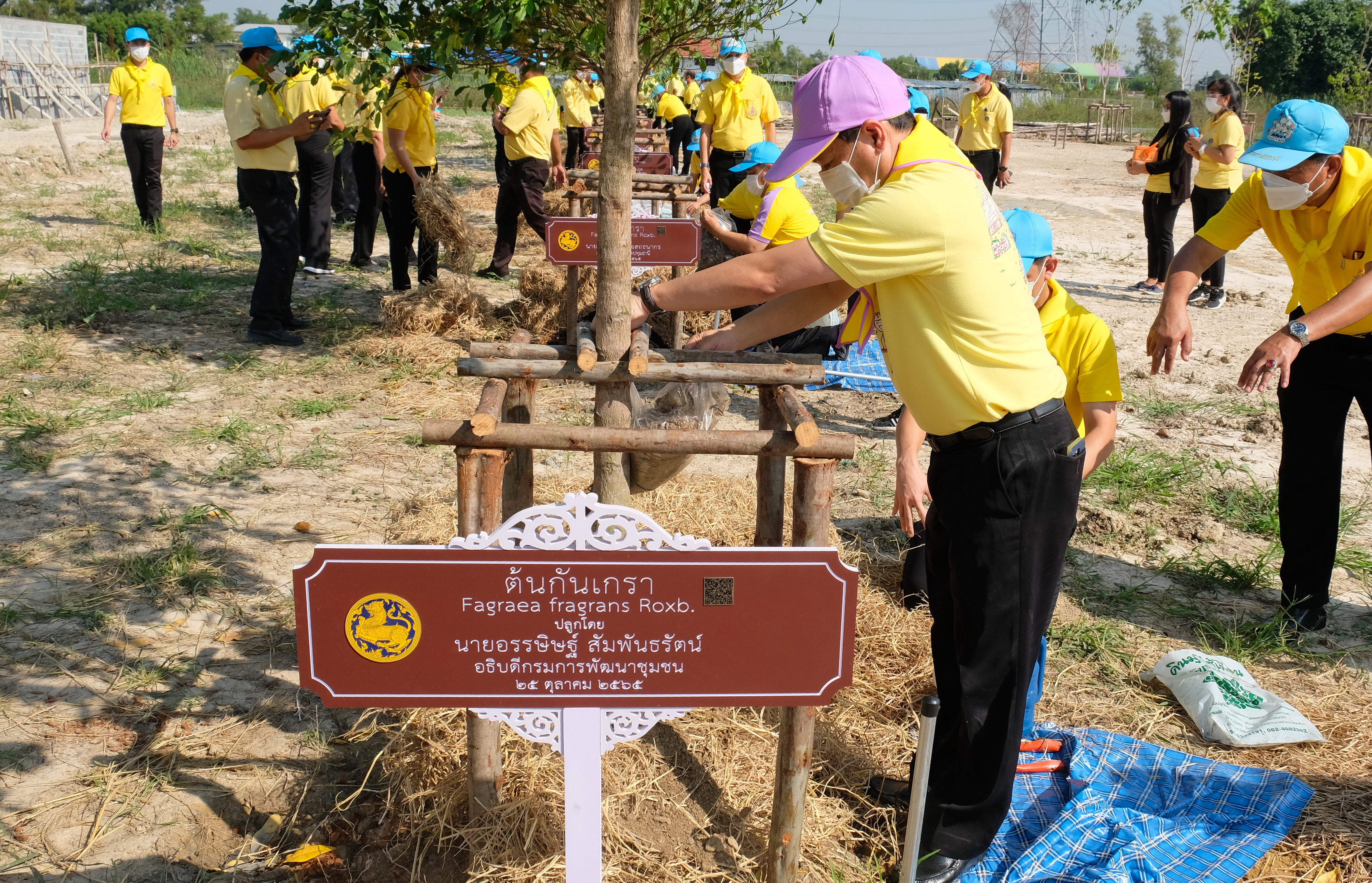 พช.ปทุมธานี “รวมพลังจิตอาสา มุ่งมั่นทำความดี ด้วยหัวใจ ปลูกต้นไม้เพื่อชาติ” ถวายราชสดุดีเนื่องในวันคล้ายวันพระราชสมภพสมเด็จพระศรีนครินทราบรมราชชนนี พร้อมจัดกิจกรรมเนื่องในวันรักต้นไม้ประจำปีของชาติ
