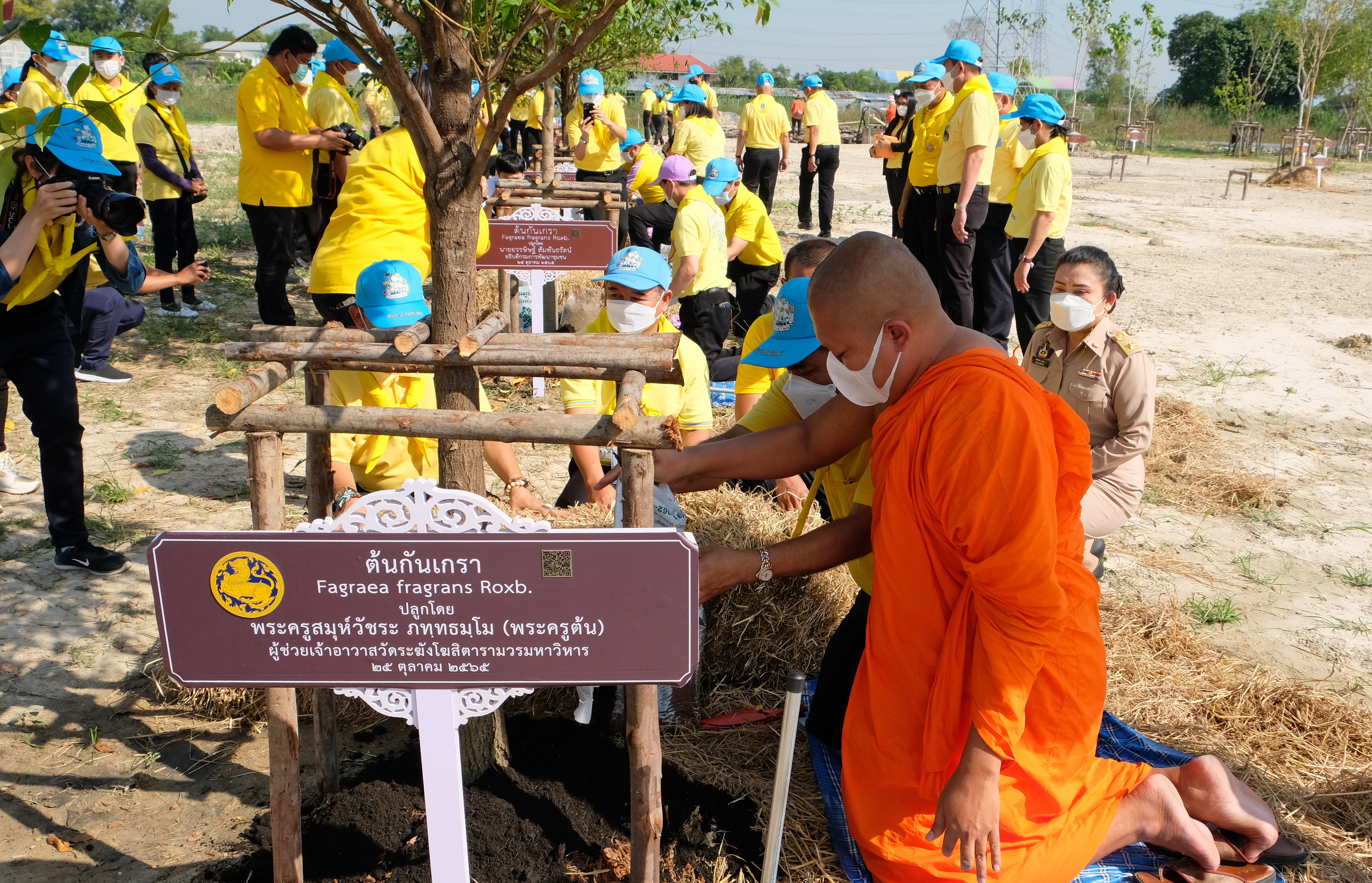 พช.ปทุมธานี “รวมพลังจิตอาสา มุ่งมั่นทำความดี ด้วยหัวใจ ปลูกต้นไม้เพื่อชาติ” ถวายราชสดุดีเนื่องในวันคล้ายวันพระราชสมภพสมเด็จพระศรีนครินทราบรมราชชนนี พร้อมจัดกิจกรรมเนื่องในวันรักต้นไม้ประจำปีของชาติ