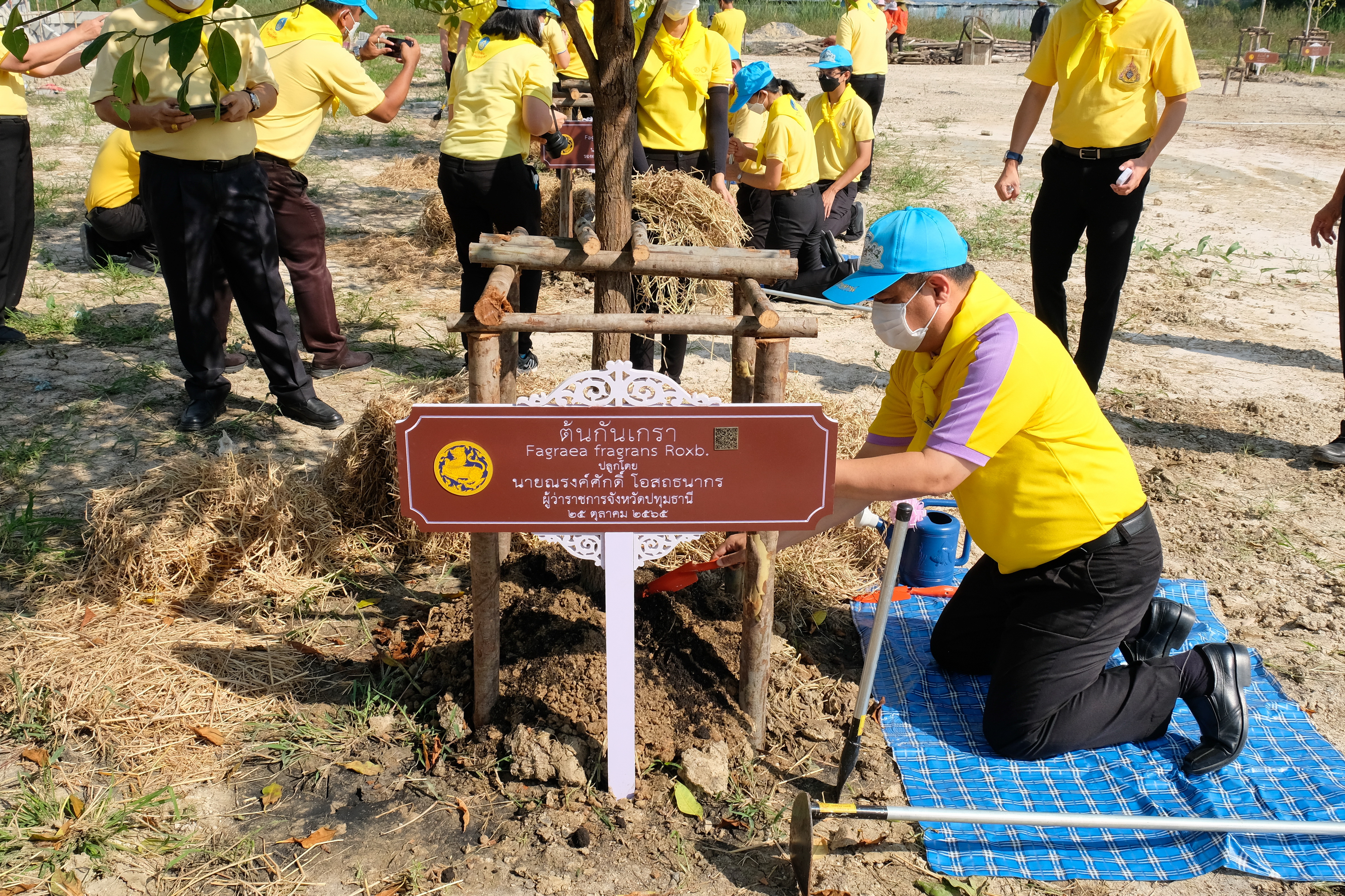 พช.ปทุมธานี “รวมพลังจิตอาสา มุ่งมั่นทำความดี ด้วยหัวใจ ปลูกต้นไม้เพื่อชาติ” ถวายราชสดุดีเนื่องในวันคล้ายวันพระราชสมภพสมเด็จพระศรีนครินทราบรมราชชนนี พร้อมจัดกิจกรรมเนื่องในวันรักต้นไม้ประจำปีของชาติ