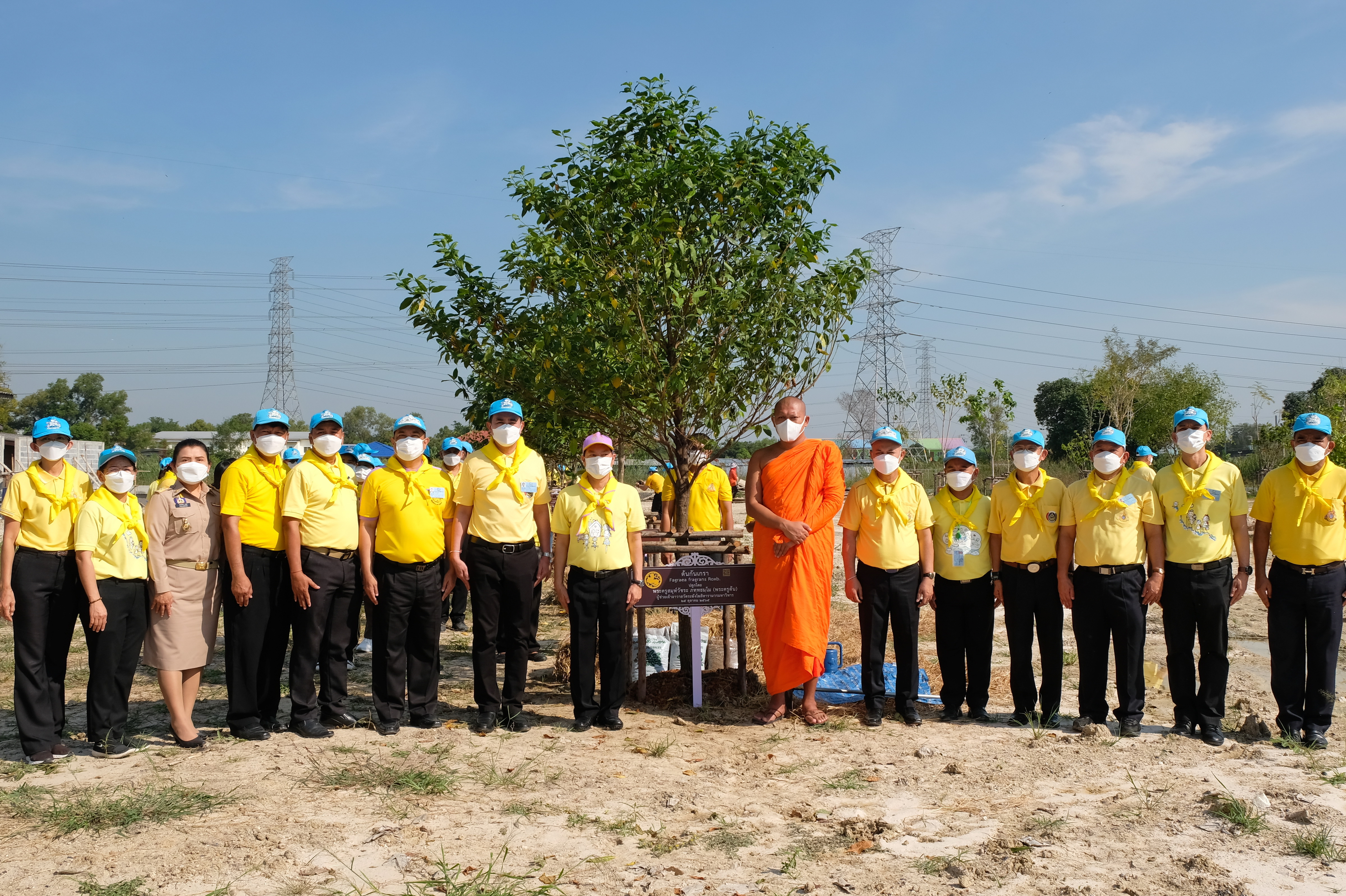 พช.ปทุมธานี “รวมพลังจิตอาสา มุ่งมั่นทำความดี ด้วยหัวใจ ปลูกต้นไม้เพื่อชาติ” ถวายราชสดุดีเนื่องในวันคล้ายวันพระราชสมภพสมเด็จพระศรีนครินทราบรมราชชนนี พร้อมจัดกิจกรรมเนื่องในวันรักต้นไม้ประจำปีของชาติ