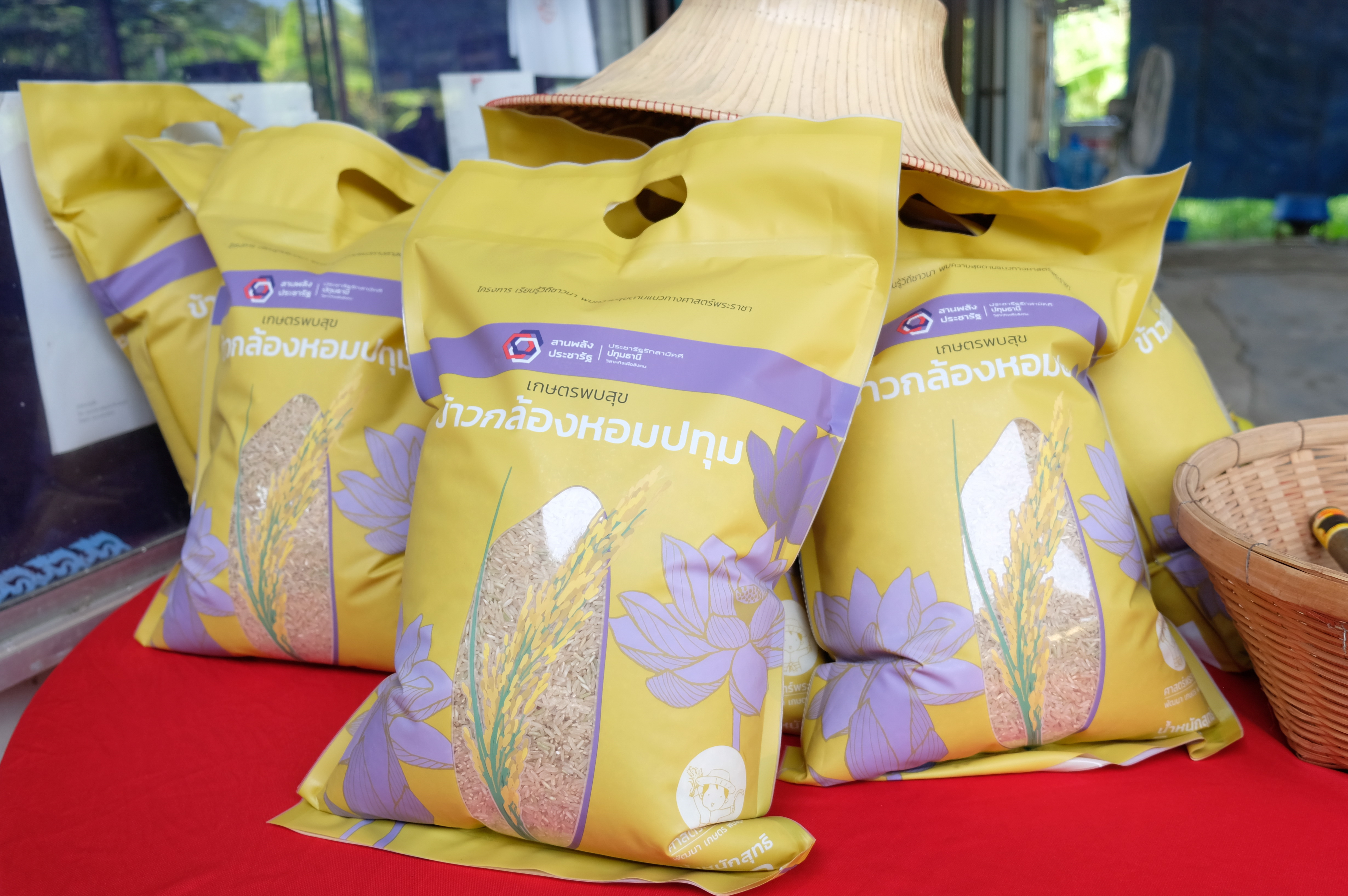 พช.ปทุมธานี “ร่วมพิธีเกี่ยวข้าว พันธุ์ข้าวหอมปทุมธานี ๑ ปีที่ ๖”