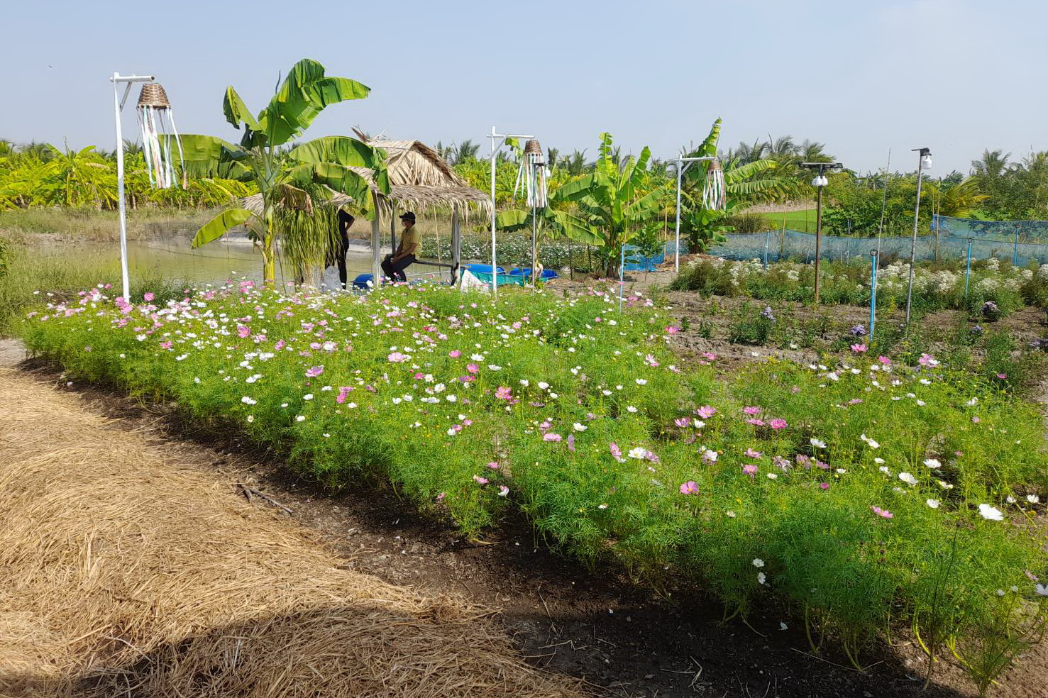 พช.ปทุมธานี “สำนักงานพัฒนาชุมชนจังหวัดปทุมธานีร่วมกับสำนักงานโยธาธิการและผังเมืองจังหวัดปทุมธานีเตรียมความพร้อมการดำเนินงานโครงการตามแผนพัฒนาจังหวัดปทุมธานี พ.ศ. ๒๕๖๖ – ๒๕๗๐”