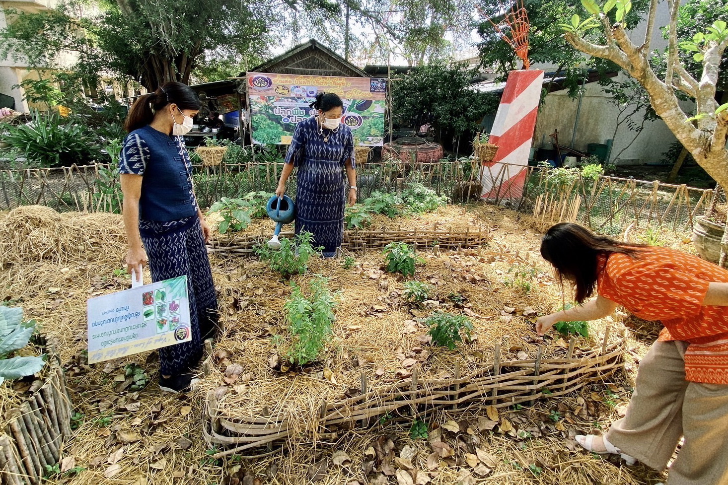 พช.ปทุมธานี “สพอ.หนองเสือ ส่งเสริมและสนับสนุนการสวมใส่ผ้าไทยและเผยแพร่ภูมิปัญญาผ้าไทย รณรงค์ประชาสัมพันธ์การสวมใส่ผ้าไทย พร้อมปฏิบัติการปลูกผักสวนครัว เพื่อสร้างความมั่นคงทางอาหาร”
