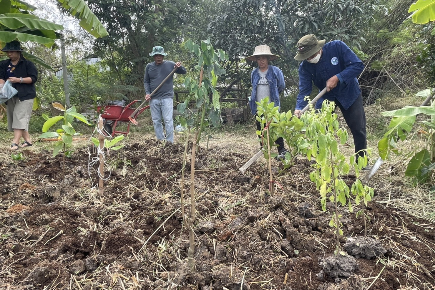 พช.ปทุมธานี “ขับเคลื่อนนโยบายการพัฒนาชุมชน ส่งเสริมกิจกรรมเครือข่ายพื้นที่ต้นแบบ โคก หนอง นา โมเดล จังหวัดปทุมธานี”