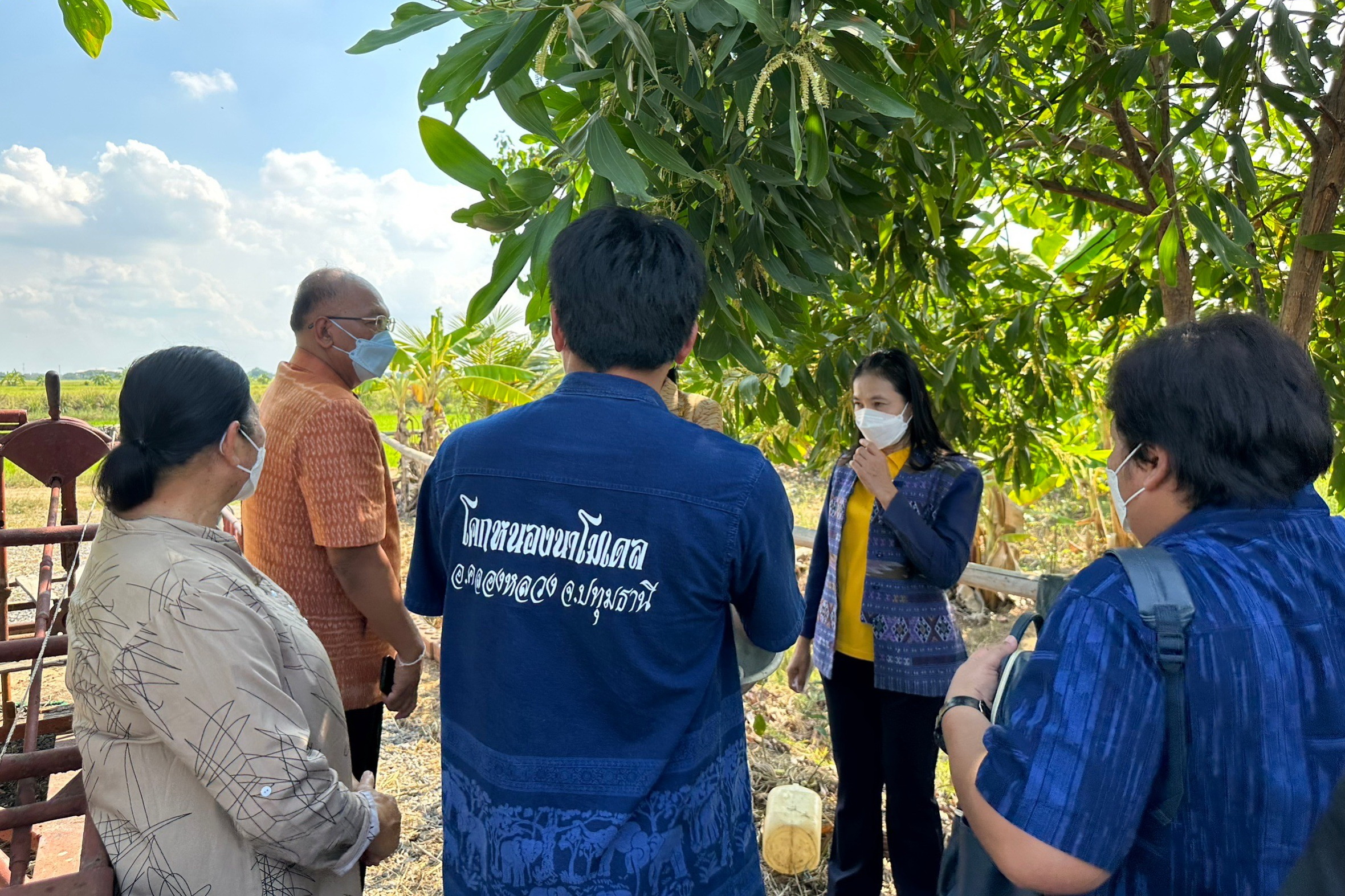 พช.ปทุมธานี “ติดตามการดำเนินโครงการพัฒนาพื้นที่ต้นแบบการพัฒนาคุณภาพชีวิตตามหลักทฤฎีใหม่ประยุกต์สู่ โคก หนอง นา โมเดล แปลงนา CLM อำเภอคลองหลวง จังหวัดปทุมธานี”