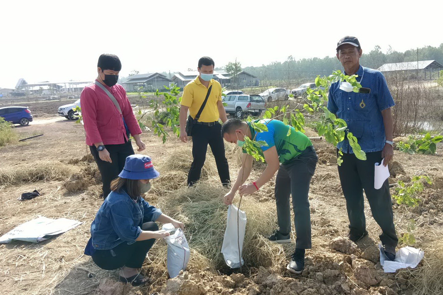 พช.ปทุมธานี “สำนักงานงานพัฒนาชุมชนจังหวัดปทุมธานี ร่วมกับโยธาธิการและผังเมืองปทุมธานี ,ท้องถิ่นจังหวัดปทุมธานี ,สำนักงานที่ดินจังหวัดปทุมธานี สาขาลำลูกกา และสำนักงานป้องกันและบรรเทาสาธารณภัยจังหวัดปทุมธานี ดำเนินกิจกรรมปลูกต้นไม้ในพื้นที่โคก หนอง นา สัปปายะและรมณียสถาน สถานปฏิบัติธรรมสมเด็จพระสังฆราช (อมฺพรมหาเถร) อำเภอลำลูกกา จังหวัดปทุมธานี”