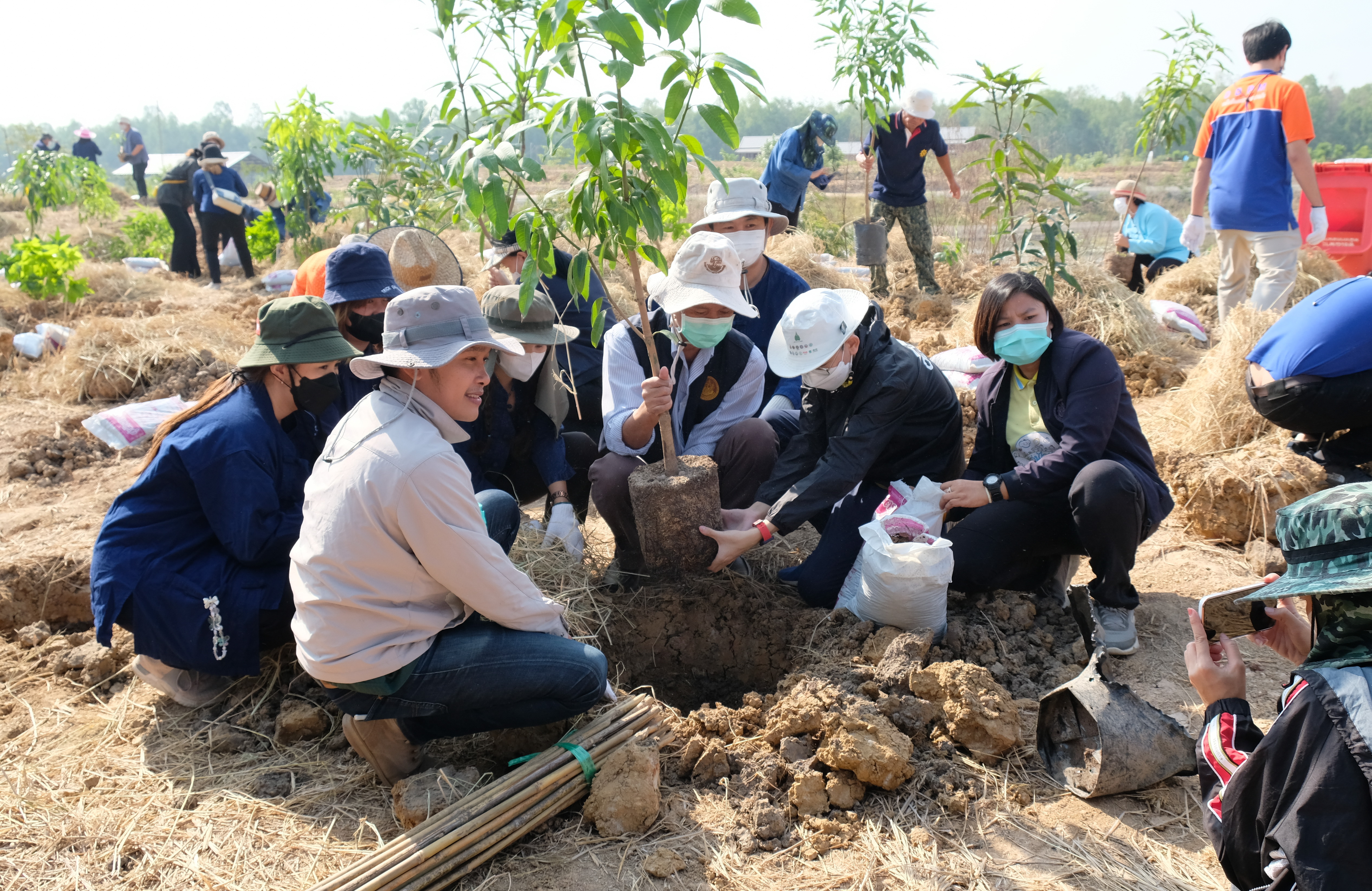 พช.ปทุมธานี “สำนักงานงานพัฒนาชุมชนจังหวัดปทุมธานี ร่วมกับโยธาธิการและผังเมืองปทุมธานี ,ท้องถิ่นจังหวัดปทุมธานี ,สำนักงานที่ดินจังหวัดปทุมธานี สาขาลำลูกกา และสำนักงานป้องกันและบรรเทาสาธารณภัยจังหวัดปทุมธานี ดำเนินกิจกรรมปลูกต้นไม้ในพื้นที่โคก หนอง นา สัปปายะและรมณียสถาน สถานปฏิบัติธรรมสมเด็จพระสังฆราช (อมฺพรมหาเถร) อำเภอลำลูกกา จังหวัดปทุมธานี”