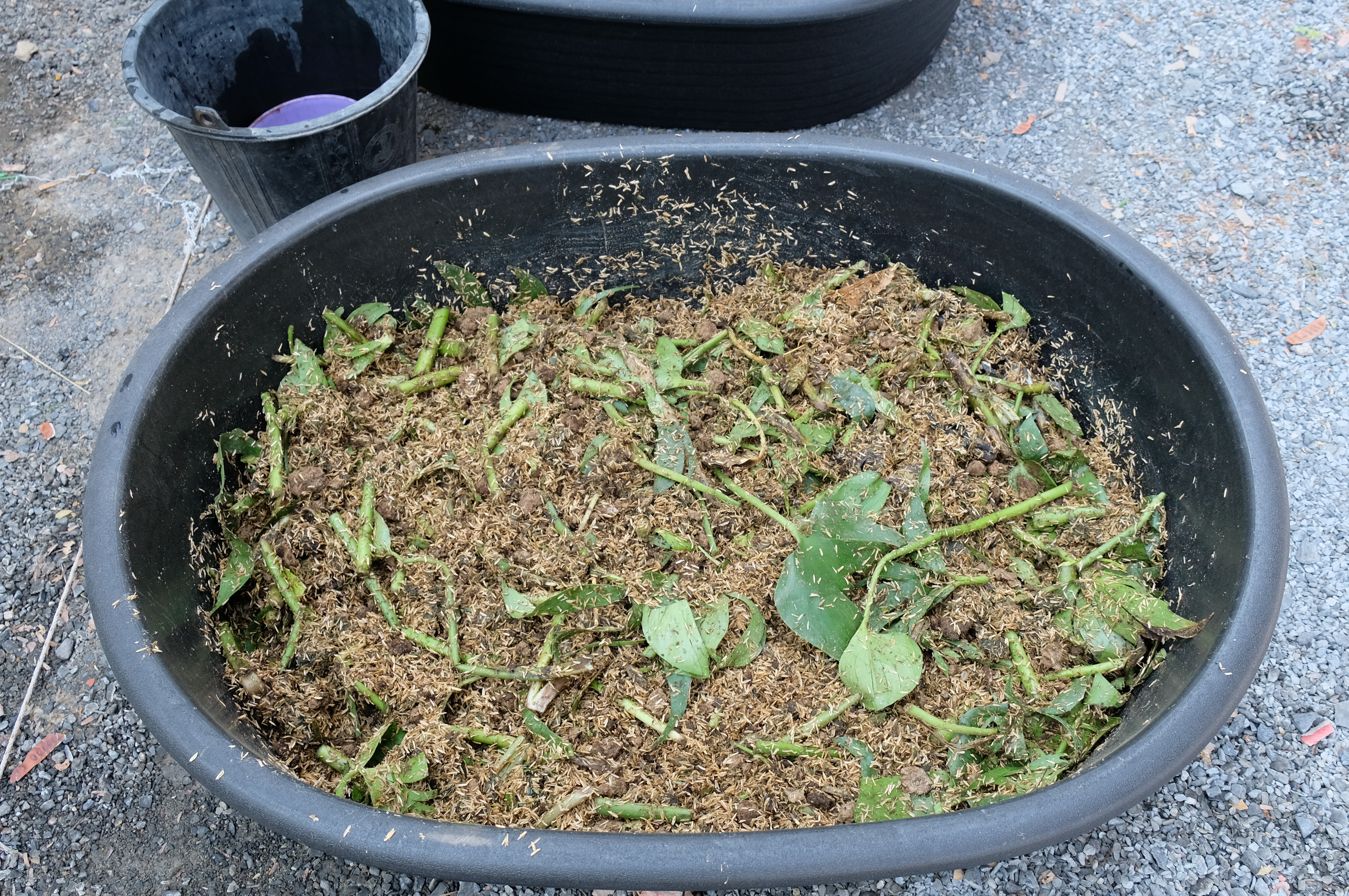 พช.ปทุมธานี “บูรณาการในเชิงพื้นที่เพื่อขับเคลื่อนการบริหารจัดการข้อมูลเพื่อการพัฒนา ดำเนินโครงการจัดทำสารสนเทศตำบลต้นแบบเพื่อพัฒนาคุณภาพชีวิต ประจำปี ๒๕๖๖”