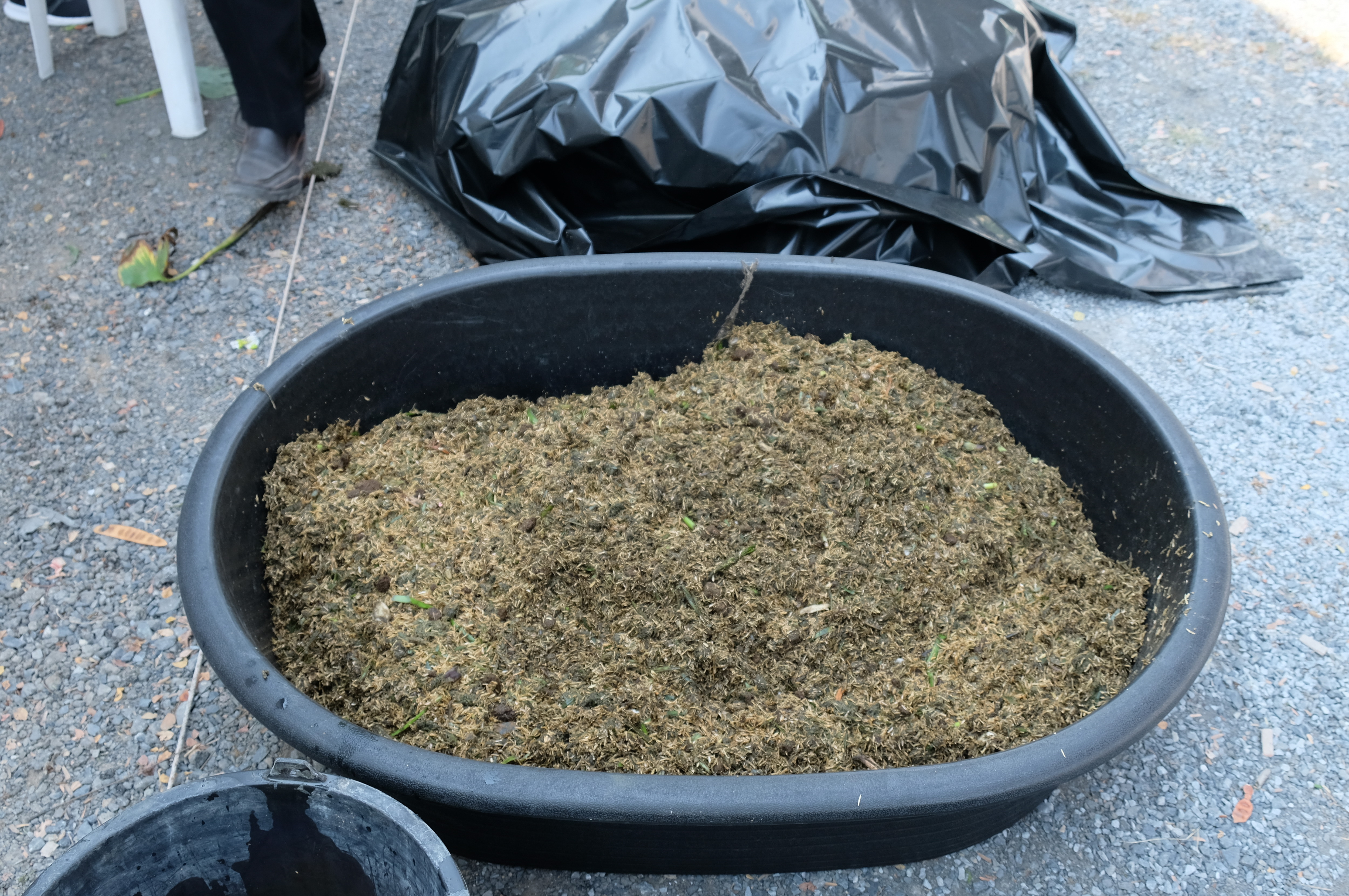 พช.ปทุมธานี “บูรณาการในเชิงพื้นที่เพื่อขับเคลื่อนการบริหารจัดการข้อมูลเพื่อการพัฒนา ดำเนินโครงการจัดทำสารสนเทศตำบลต้นแบบเพื่อพัฒนาคุณภาพชีวิต ประจำปี ๒๕๖๖”