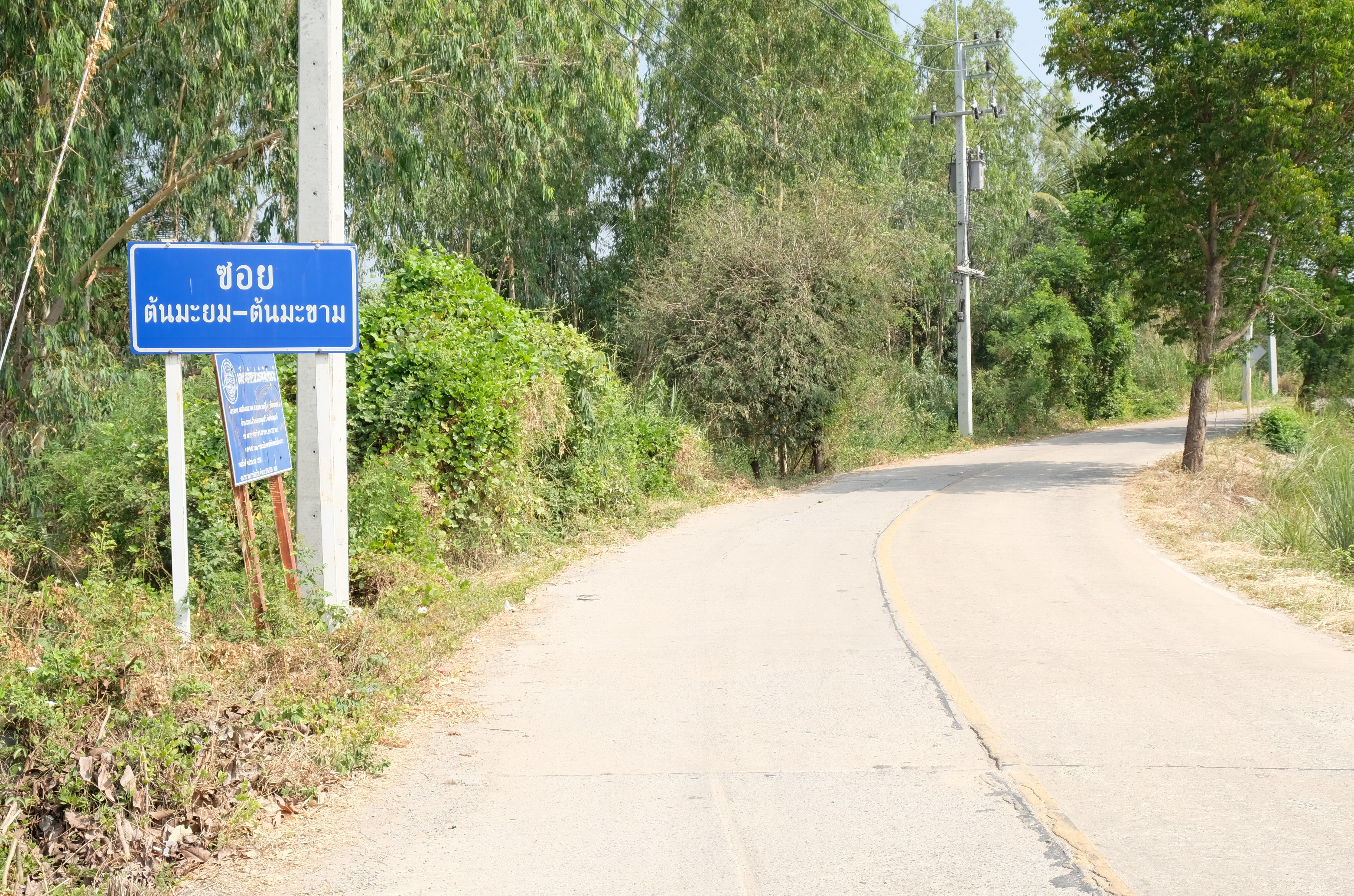 พช.ปทุมธานี “น้อมนำพระราชดำริกรมสมเด็จพระเทพรัตนราชสุดา ฯ สยามบรมราชกุมารี ขับเคลื่อนโครงการ “ทางนี้มีผลผู้คนรักกัน” สร้างความมั่นคงทางอาหารในพื้นที่จังหวัดปทุมธานี”