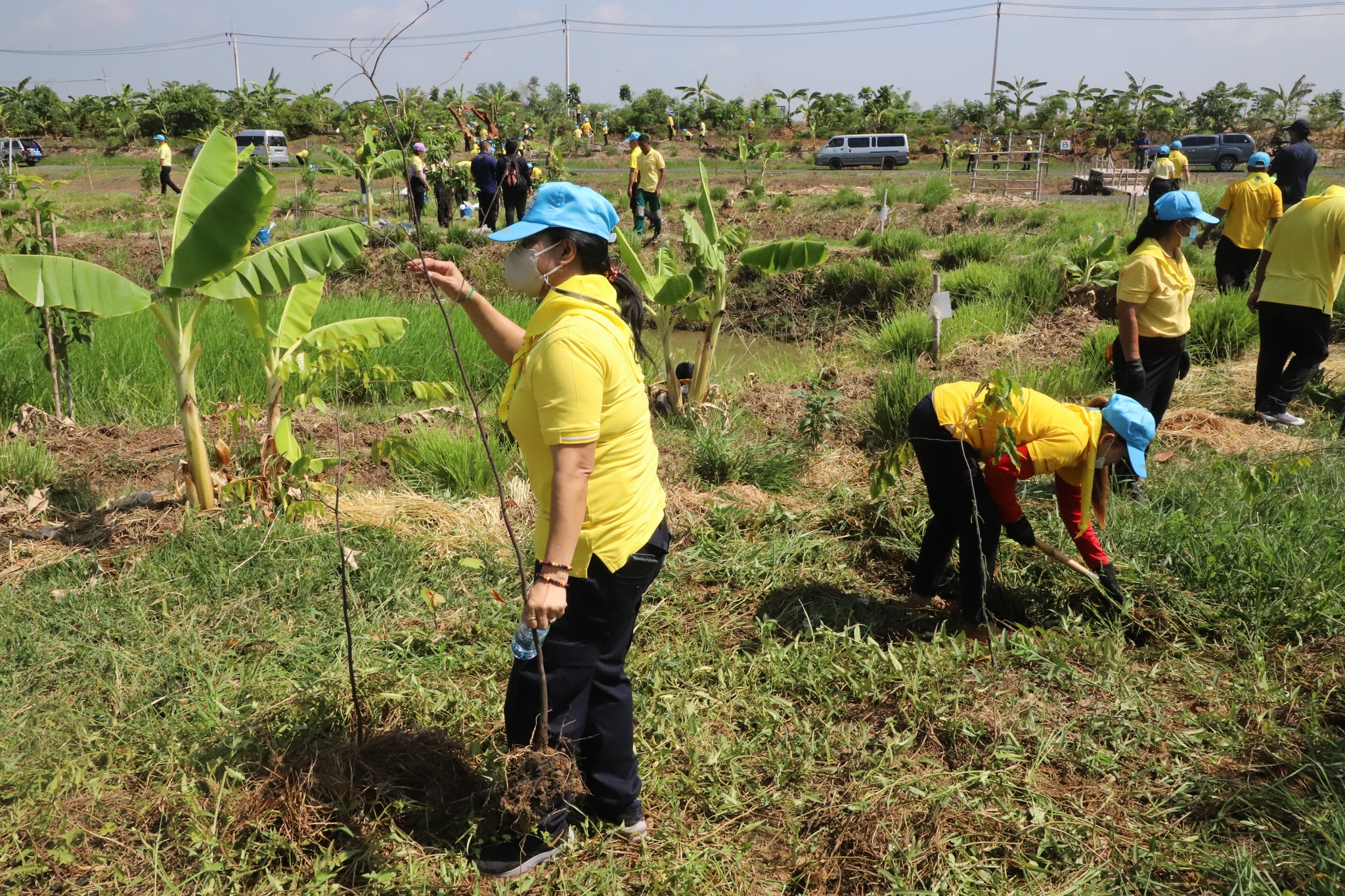 พช.ปทุมธานี “ร่วมกิจกรรมจิตอาสา เราทำความ ดี ด้วยหัวใจ ร่วมกันปลูกต้นไม้ ปรับปรุงภูมิทัศน์ สถานปฏิบัติธรรมสมเด็จพระสังฆราช เนื่องในวันพระบาทสมเด็จพระปกเกล้าเจ้าอยู่หัว”
