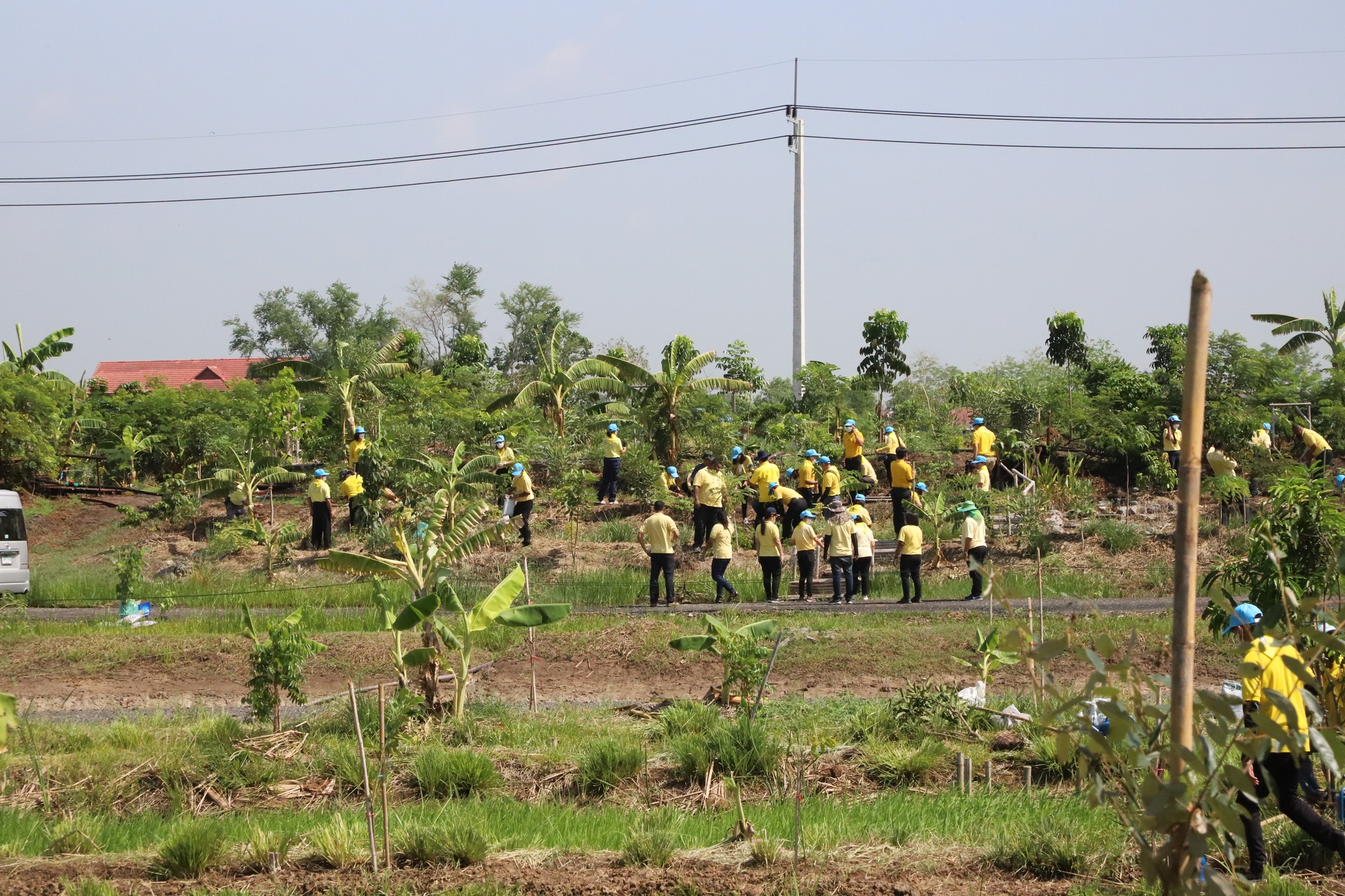 พช.ปทุมธานี “ร่วมกิจกรรมจิตอาสา เราทำความ ดี ด้วยหัวใจ ร่วมกันปลูกต้นไม้ ปรับปรุงภูมิทัศน์ สถานปฏิบัติธรรมสมเด็จพระสังฆราช เนื่องในวันพระบาทสมเด็จพระปกเกล้าเจ้าอยู่หัว”
