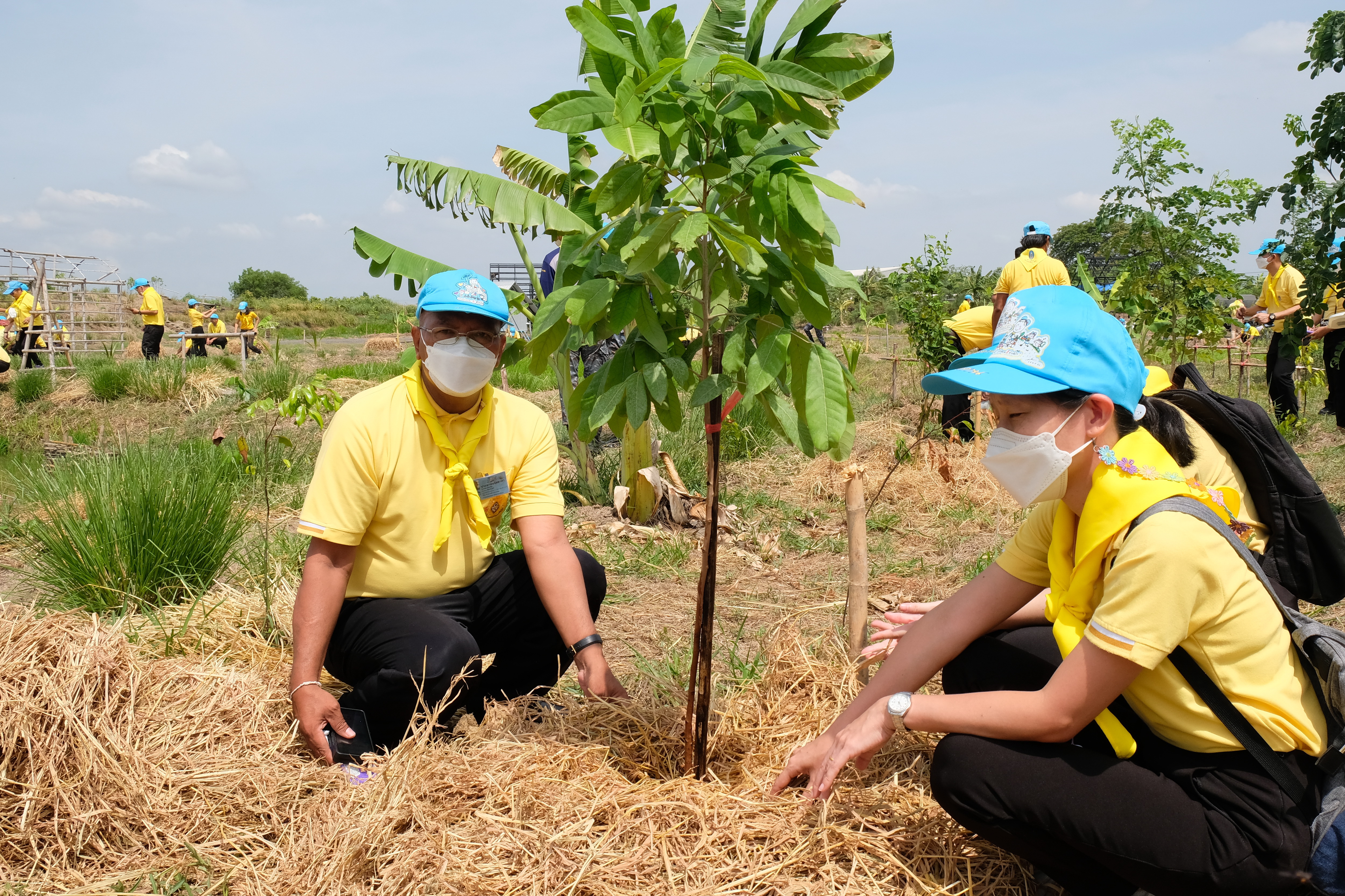 พช.ปทุมธานี “รวมพลังจิตอาสา มุ่งมั่นทำความดี ด้วยหัวใจ ปลูกต้นไม้เพื่อชาติ เนื่องในวันต้นไม้ประจำปีของชาติ พ.ศ. ๒๕๖๖ เฉลิมพระเกียรติ สมเด็จพระนางเจ้าสุทิดา พัชสุธาพิมลลักษณ พระบรมราชินี”