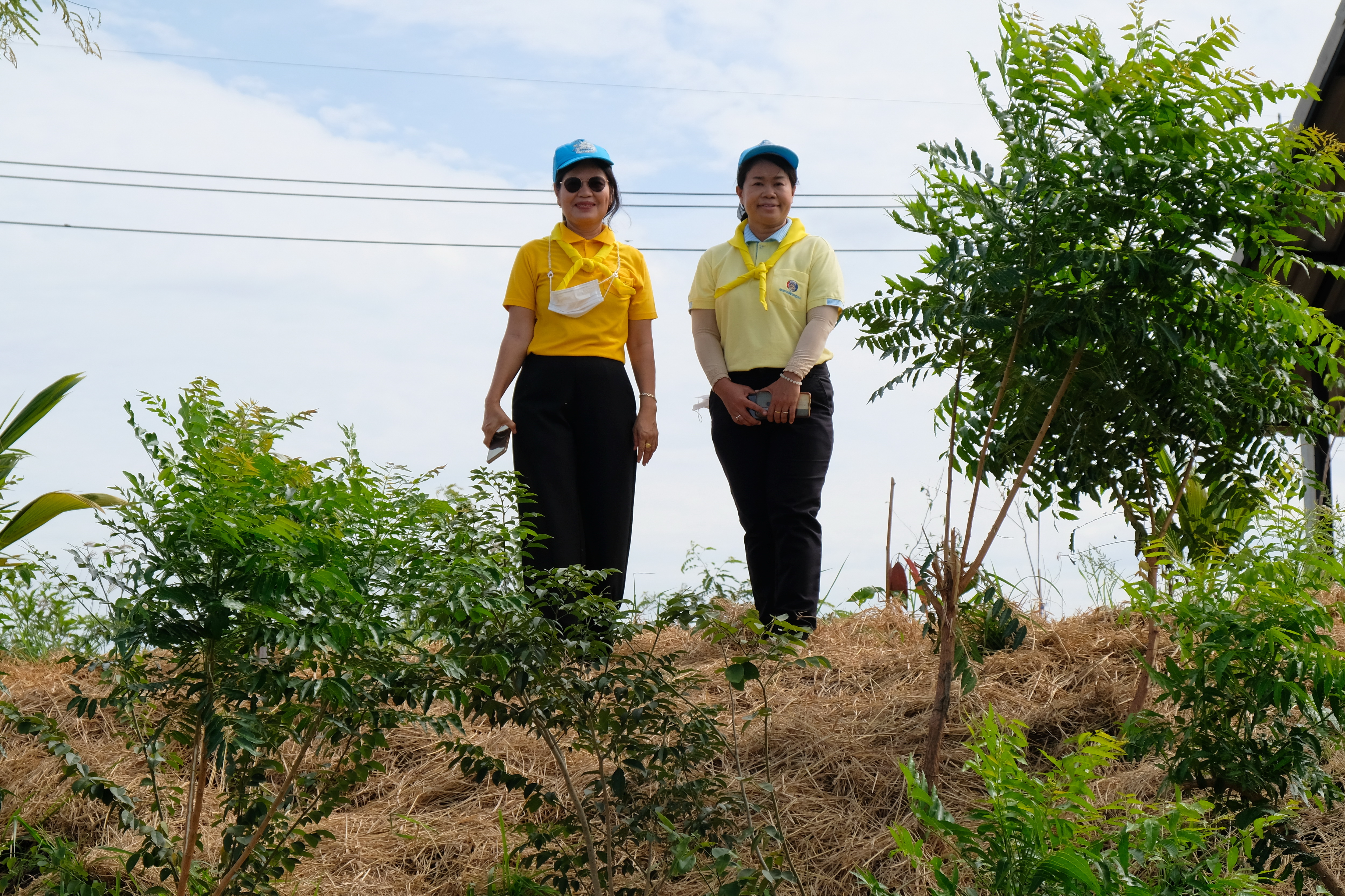 พช.ปทุมธานี “ร่วมกิจกรรมจิตอาสาพัฒนาพื้นที่โครงการ โคก หนอง นา สัปปายะและรมณียสถาน สถานปฏิบัติธรรม สมเด็จพระสังฆราช (อมพรมหาเถร) เนื่องในโอกาสสมเด็จพระอริยวงศาคตญาณ สมเด็จพระสังฆราช สกลมหาสังฆปรินายก ทรงเจริญพระชนมายุครบ ๘ รอบ ๙๖ พรรษา”