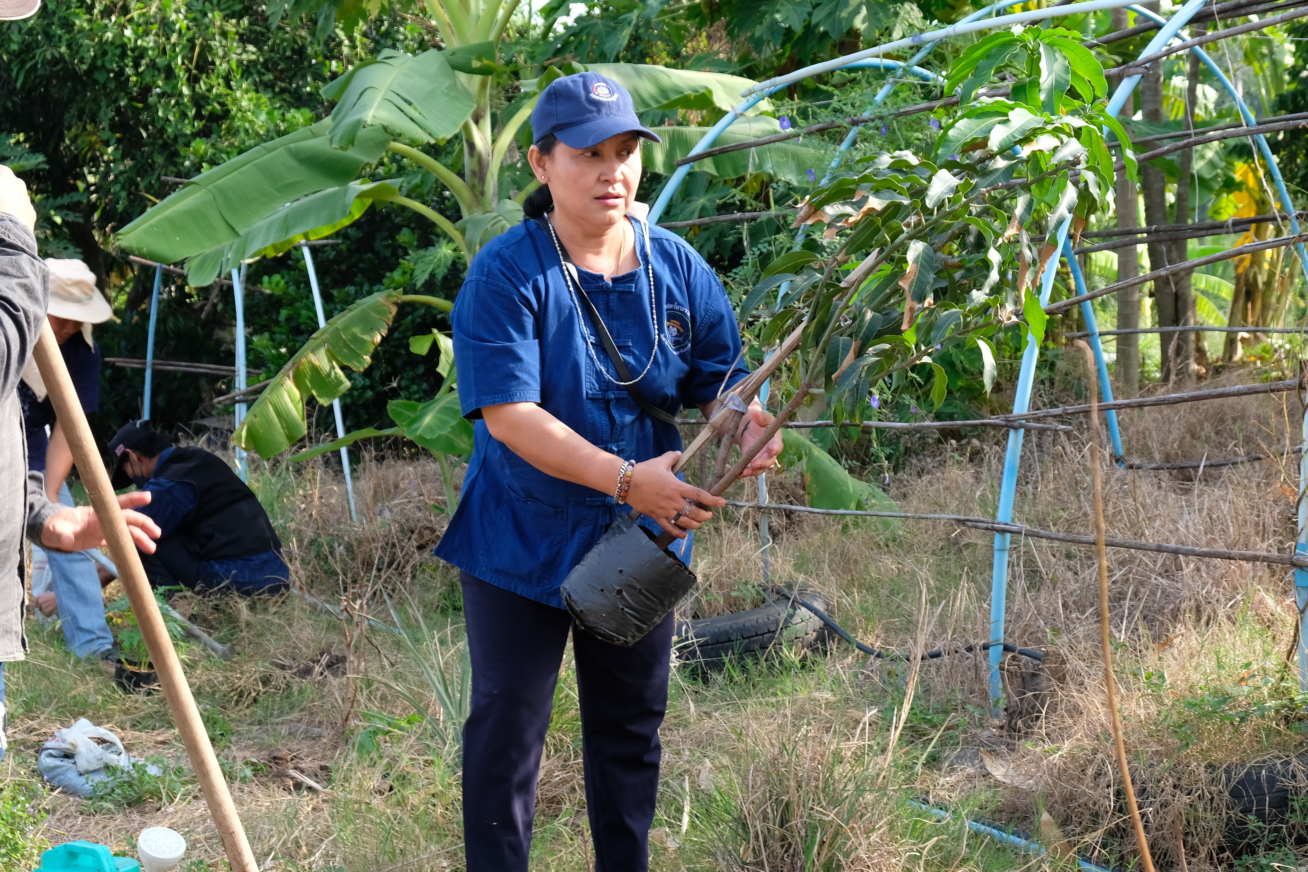 พช.ปทุมธานี “ขับเคลื่อนการดำเนินงานเครือข่ายโคก หนอง นา เพื่อพัฒนาพื้นที่เป็นศูนย์การเรียนรู้การพัฒนาคุณภาพชีวิต ตามหลักทฤษฎีใหม่ ประยุกต์สู่ โคก หนอง นา โมเดล”