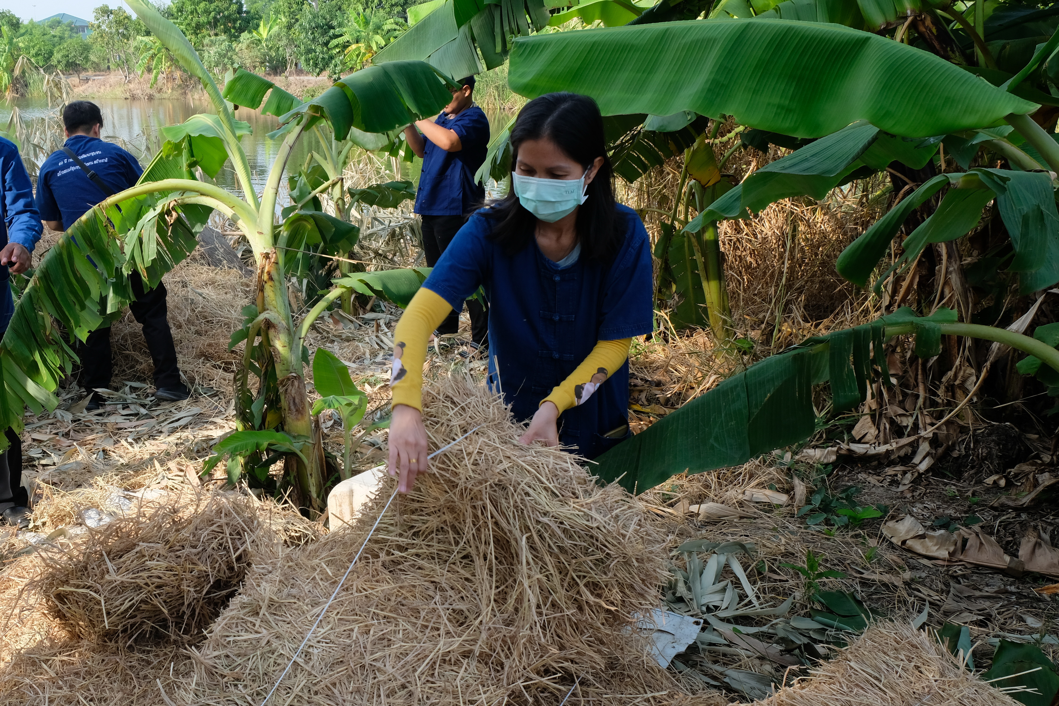 พช.ปทุมธานี “ขับเคลื่อนการดำเนินงานเครือข่ายโคก หนอง นา เพื่อพัฒนาพื้นที่เป็นศูนย์การเรียนรู้การพัฒนาคุณภาพชีวิต ตามหลักทฤษฎีใหม่ ประยุกต์สู่ โคก หนอง นา โมเดล”