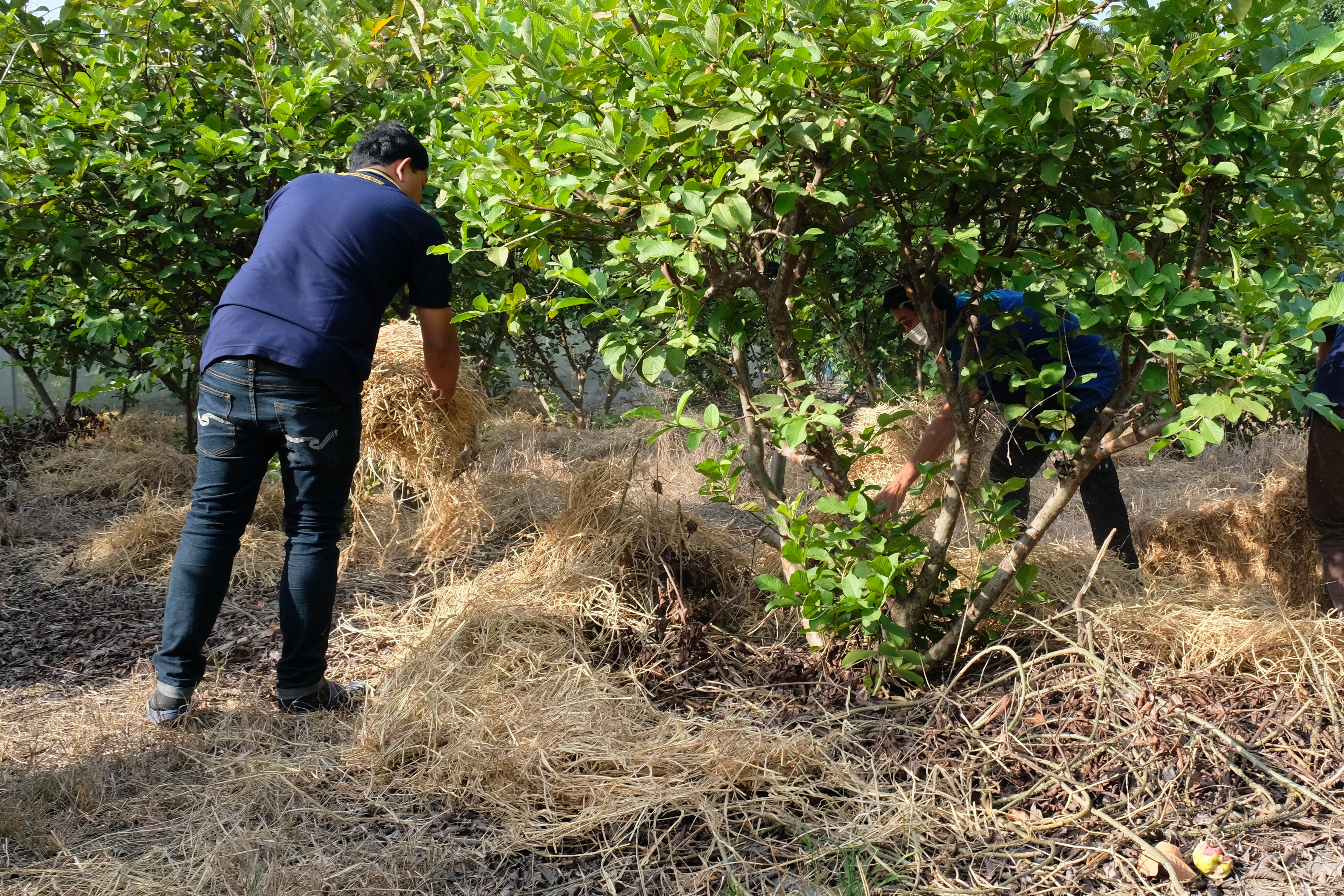พช.ปทุมธานี “ขับเคลื่อนการดำเนินงานเครือข่ายโคก หนอง นา เพื่อพัฒนาพื้นที่เป็นศูนย์การเรียนรู้การพัฒนาคุณภาพชีวิต ตามหลักทฤษฎีใหม่ ประยุกต์สู่ โคก หนอง นา โมเดล”