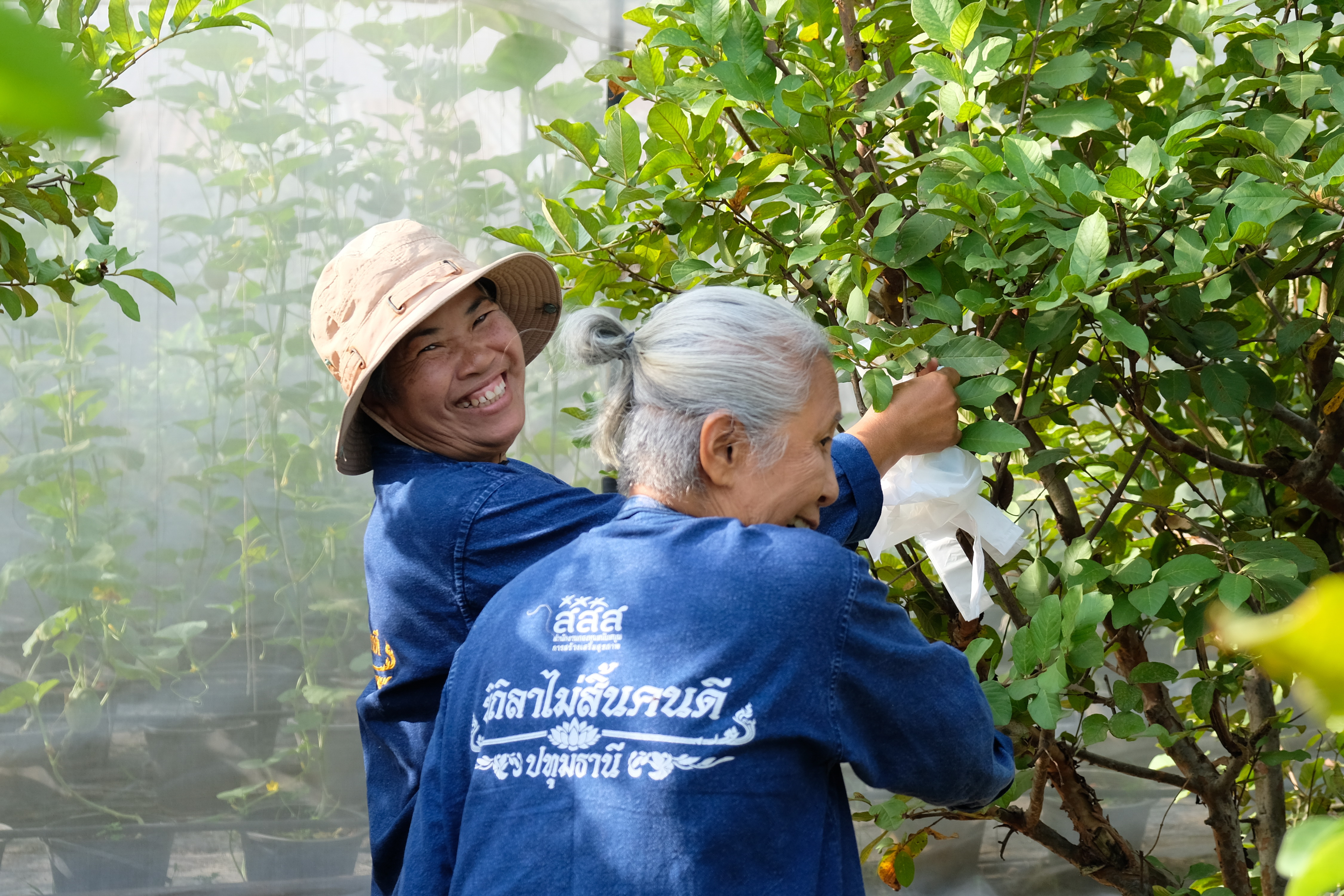พช.ปทุมธานี “ขับเคลื่อนการดำเนินงานเครือข่ายโคก หนอง นา เพื่อพัฒนาพื้นที่เป็นศูนย์การเรียนรู้การพัฒนาคุณภาพชีวิต ตามหลักทฤษฎีใหม่ ประยุกต์สู่ โคก หนอง นา โมเดล”