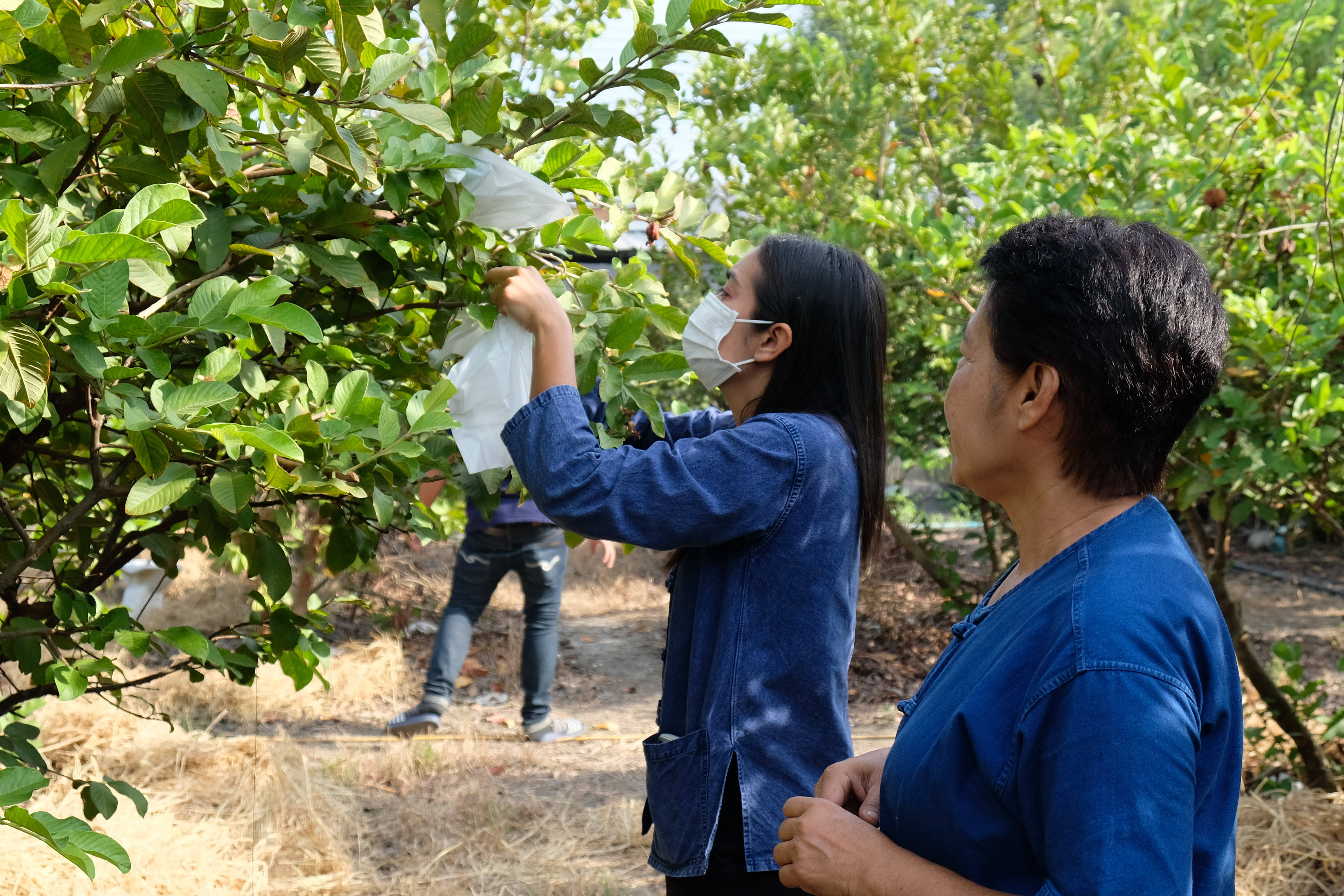 พช.ปทุมธานี “ขับเคลื่อนการดำเนินงานเครือข่ายโคก หนอง นา เพื่อพัฒนาพื้นที่เป็นศูนย์การเรียนรู้การพัฒนาคุณภาพชีวิต ตามหลักทฤษฎีใหม่ ประยุกต์สู่ โคก หนอง นา โมเดล”