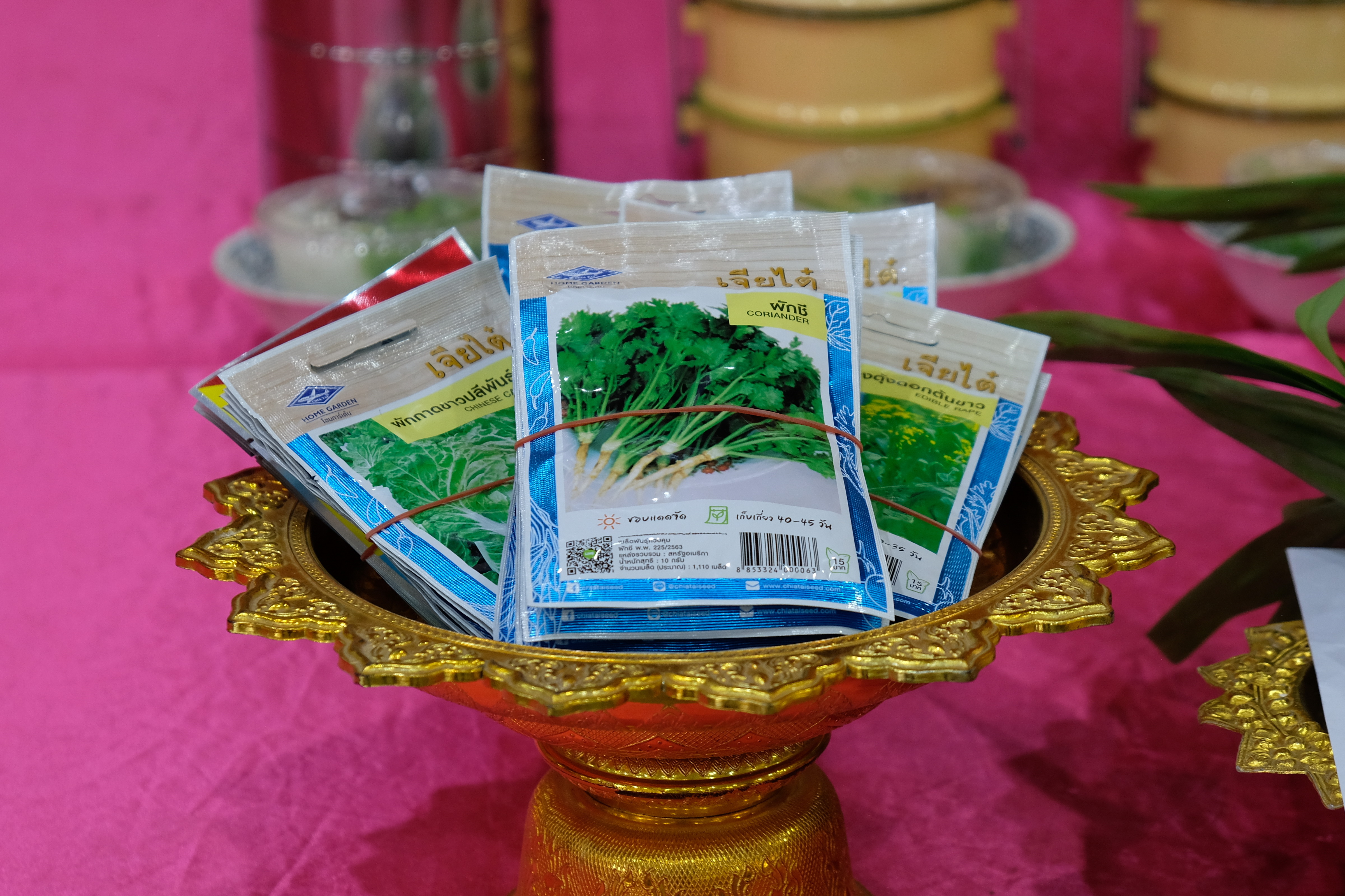 พช.ปทุมธานี “ผู้ตรวจฯ ทัศนีย์ ชัยคุณแสง เป็นประธานเปิดกิจกรรมปลูกผักสวนครัวเพื่อสร้างความมั่นคงทางอาหารในศาสนสถาน สร้างแหล่งเรียนรู้ในการปลูกผักสวนครัวอย่างยั่งยืน”