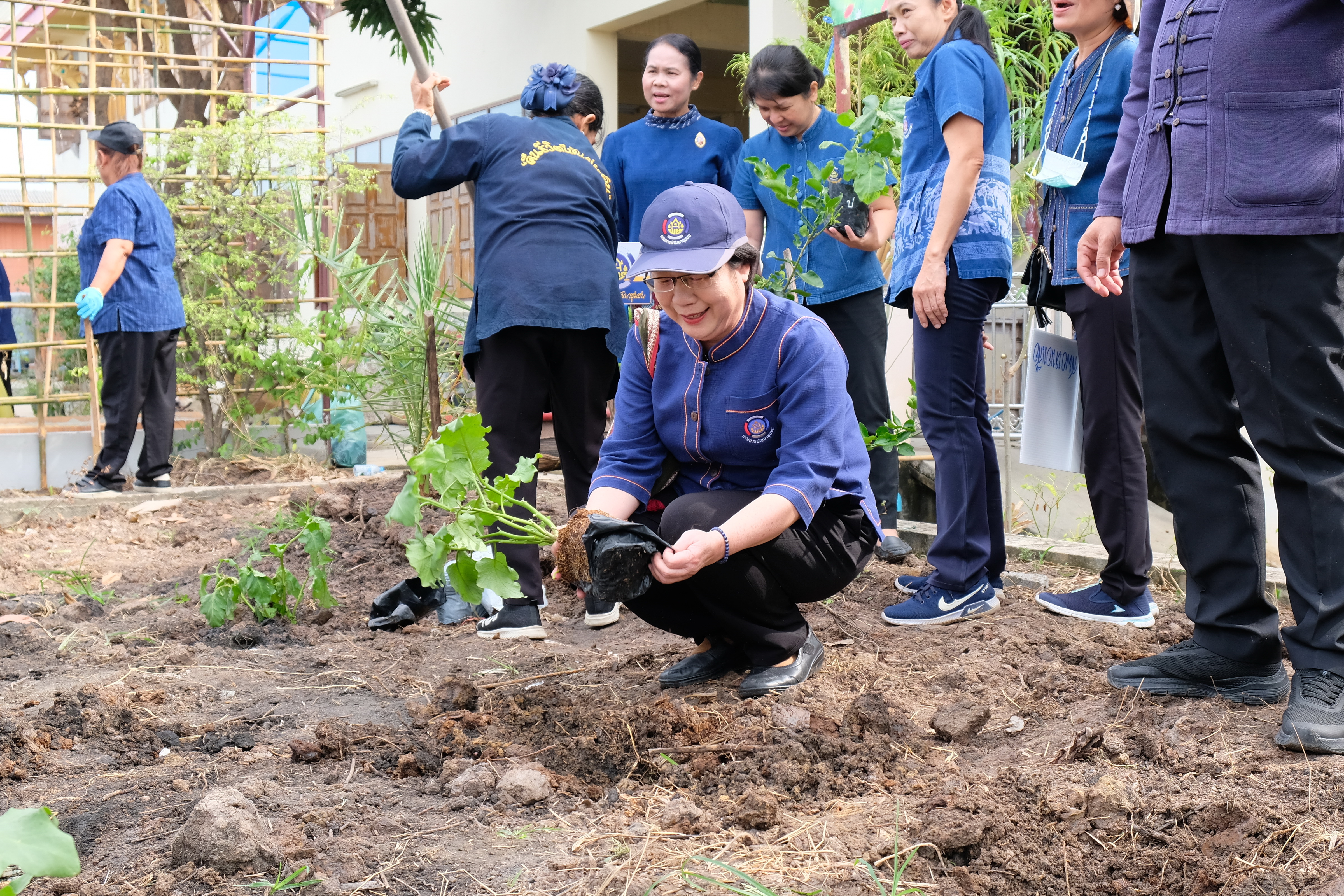 พช.ปทุมธานี “ผู้ตรวจฯ ทัศนีย์ ชัยคุณแสง เป็นประธานเปิดกิจกรรมปลูกผักสวนครัวเพื่อสร้างความมั่นคงทางอาหารในศาสนสถาน สร้างแหล่งเรียนรู้ในการปลูกผักสวนครัวอย่างยั่งยืน”